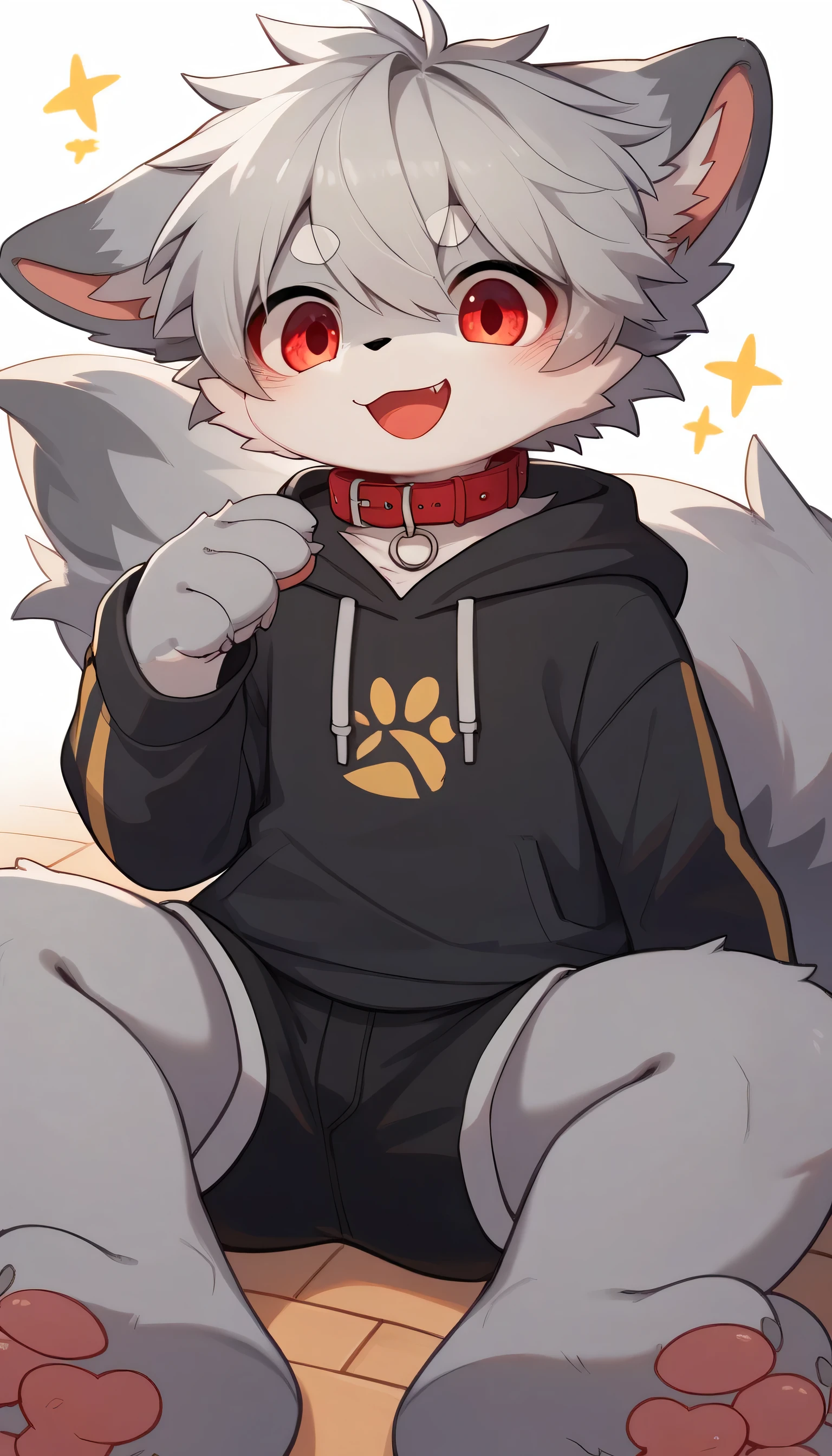 very detailed having fun in great detail,gray hair and gray fur , gray wolf , shemono,Grey Hair,,Participation, red collar on the floor, cute face, fluffy fur ,The three cute furries dance !Horny boy , white background, embarrassed face,wide smile,happy smile cute grey fur fur, estrus, droopy ears, alone, black shorts , sweatshirt , Long Sleeve ,trend,