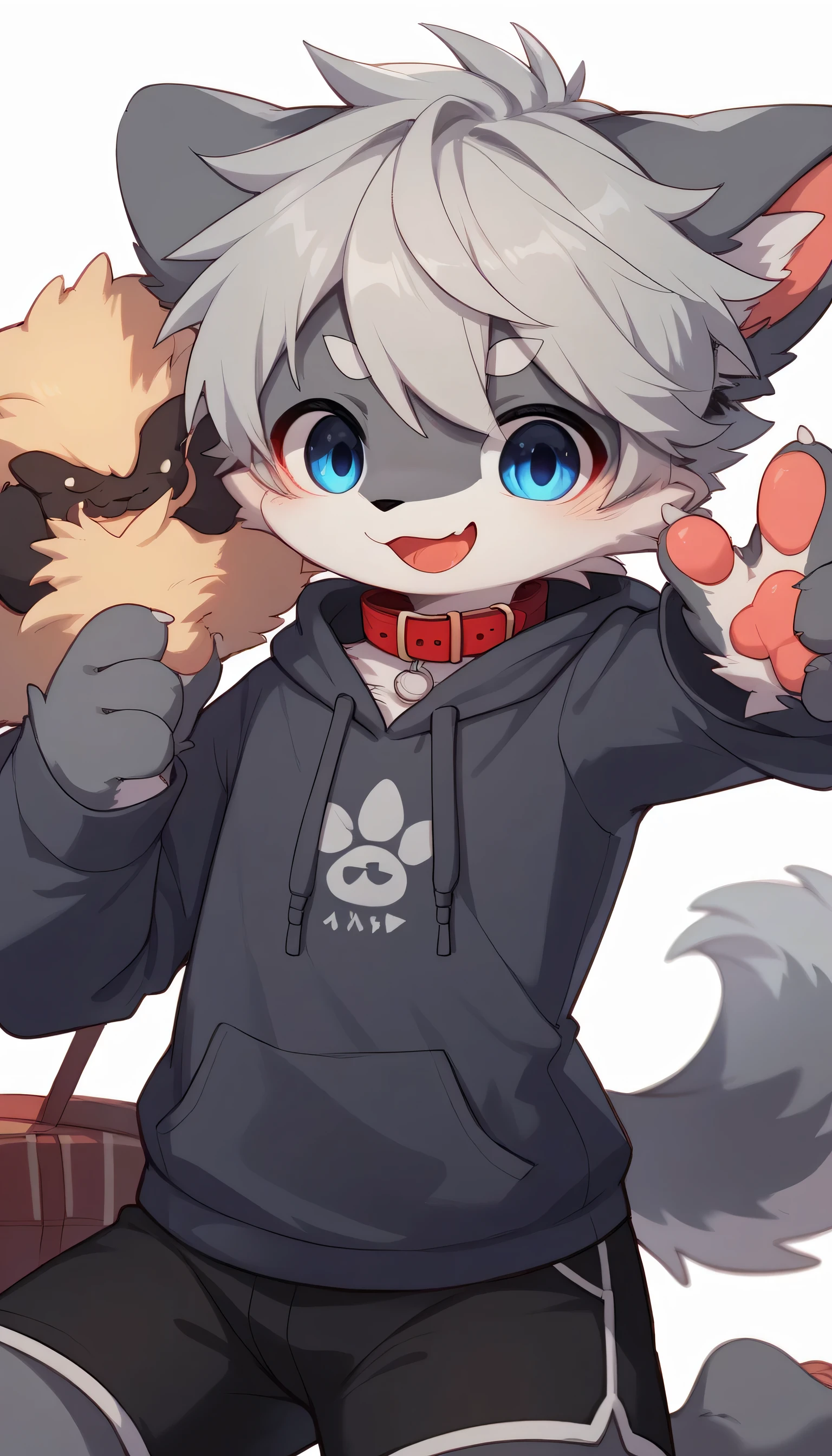   very detailed having fun in great detail,gray hair and gray fur , gray wolf , shemono,Grey Hair,Age 15,Participation, red collar on the floor,  cute face,  fluffy fur ,The three cute furries dance ！Horny boy , white background,  embarrassed face,wide smile,happy smile cute grey fur fur, estrus, droopy ears, alone, black shorts  ,  sweatshirt , Long Sleeve ,trend,
