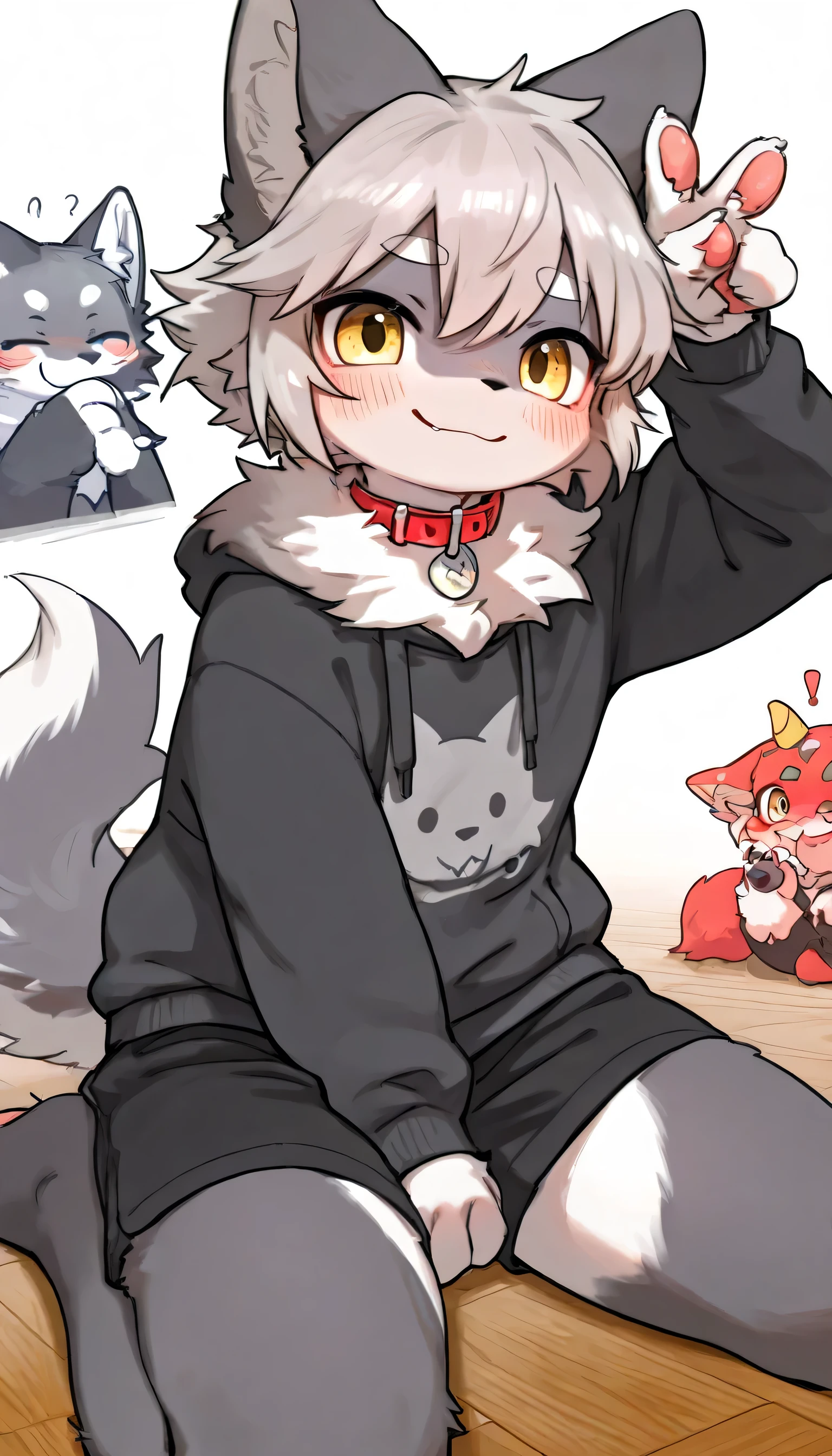   very detailed having fun in great detail,gray hair and gray fur , gray wolf , shemono,Grey Hair,,Participation, red collar on the floor,  cute face,  fluffy fur ,The three cute furries dance ！Horny boy , white background,  Embarrassed Face ,wide smile,happy smile cute grey fur fur, estrus, droopy ears, alone, black shorts  ,  sweatshirt , Long Sleeve ,trend,