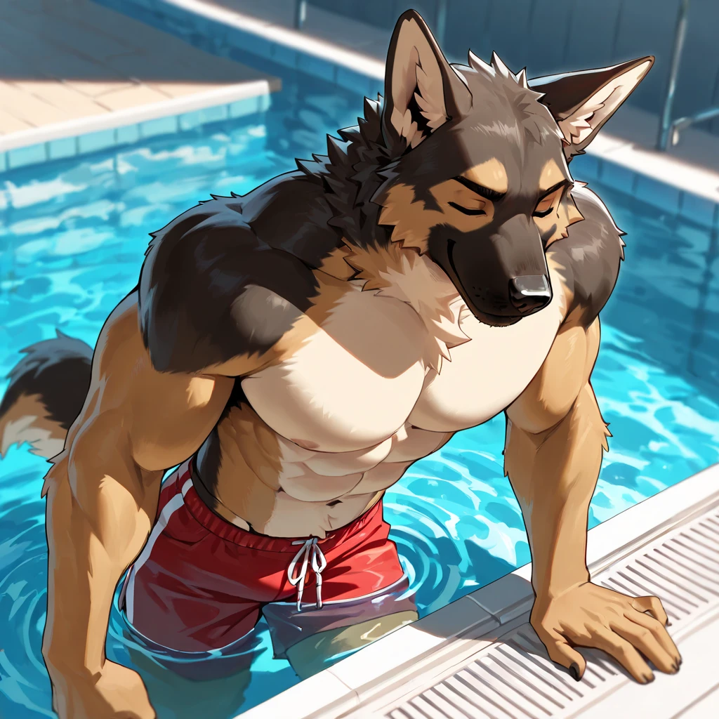 ((( masterpiece, Highest quality, High resolution, Deeply drawn boundaries, 8k, Super detailed))), ((Detailed face:1.2, Detailed eyes)), Labrador Retriever, male , Muscular, Full body view, Red swim shorts, Poolside, sunny, Daytime, Are standing, sunglasses, Transparent ball, Lifeguard, Lifebuoy, Red Tank Top, Sun visor, A whistle is hanging around his neck, 