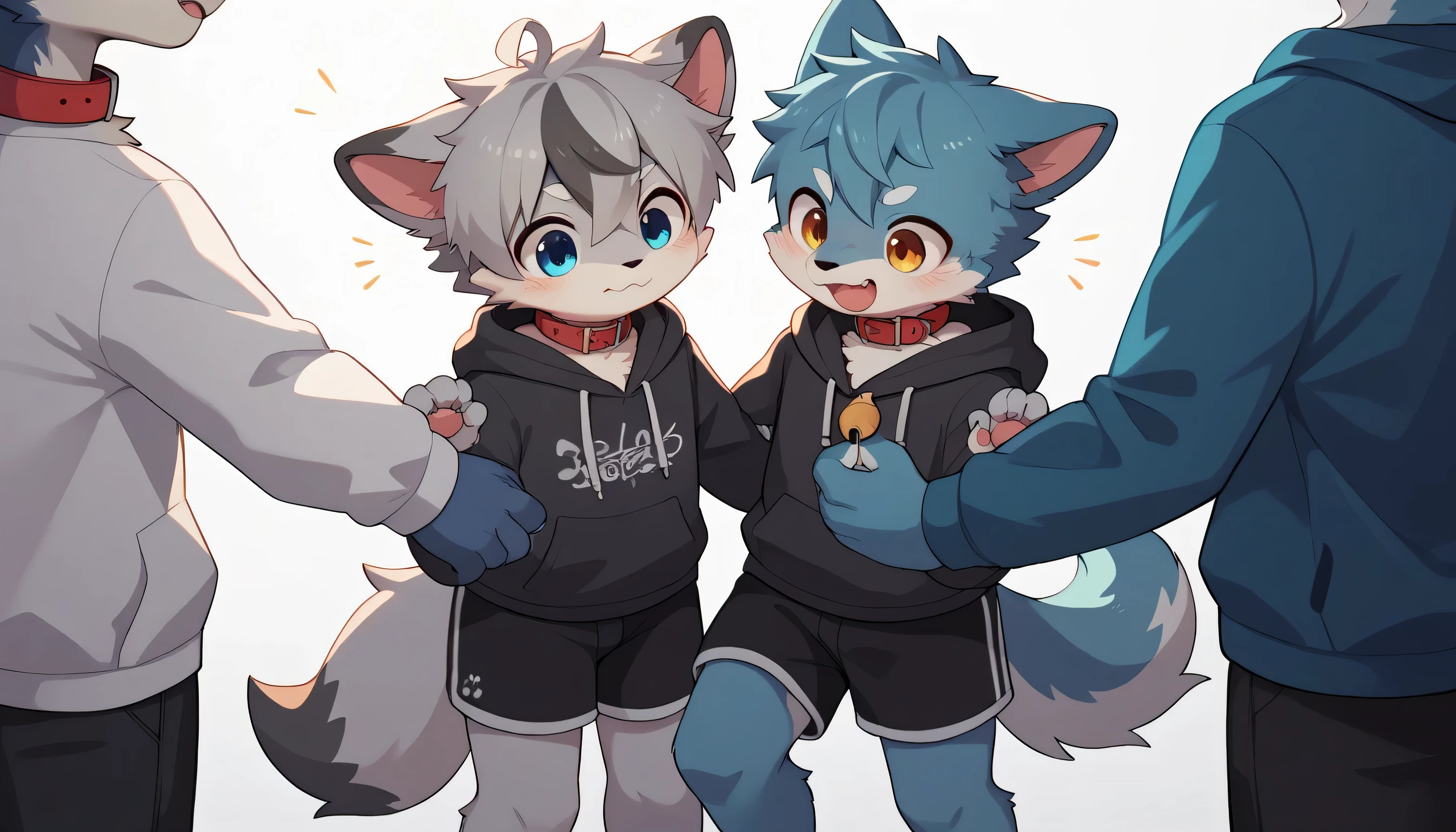 dancing happily in detail , gray hair and gray fur , blue fur , The Blue Wolf , Shemono ,,Participation, red collar fell to the floor , cute face, fluffy fur , 3 cute furry creatures dance !Horny boy , white background, embarrassed face, cute gray fur , estrus, droopy ears, there are lots of cute furry boys! , black shorts , sweatshirt , Long Sleeve ,tendency,
