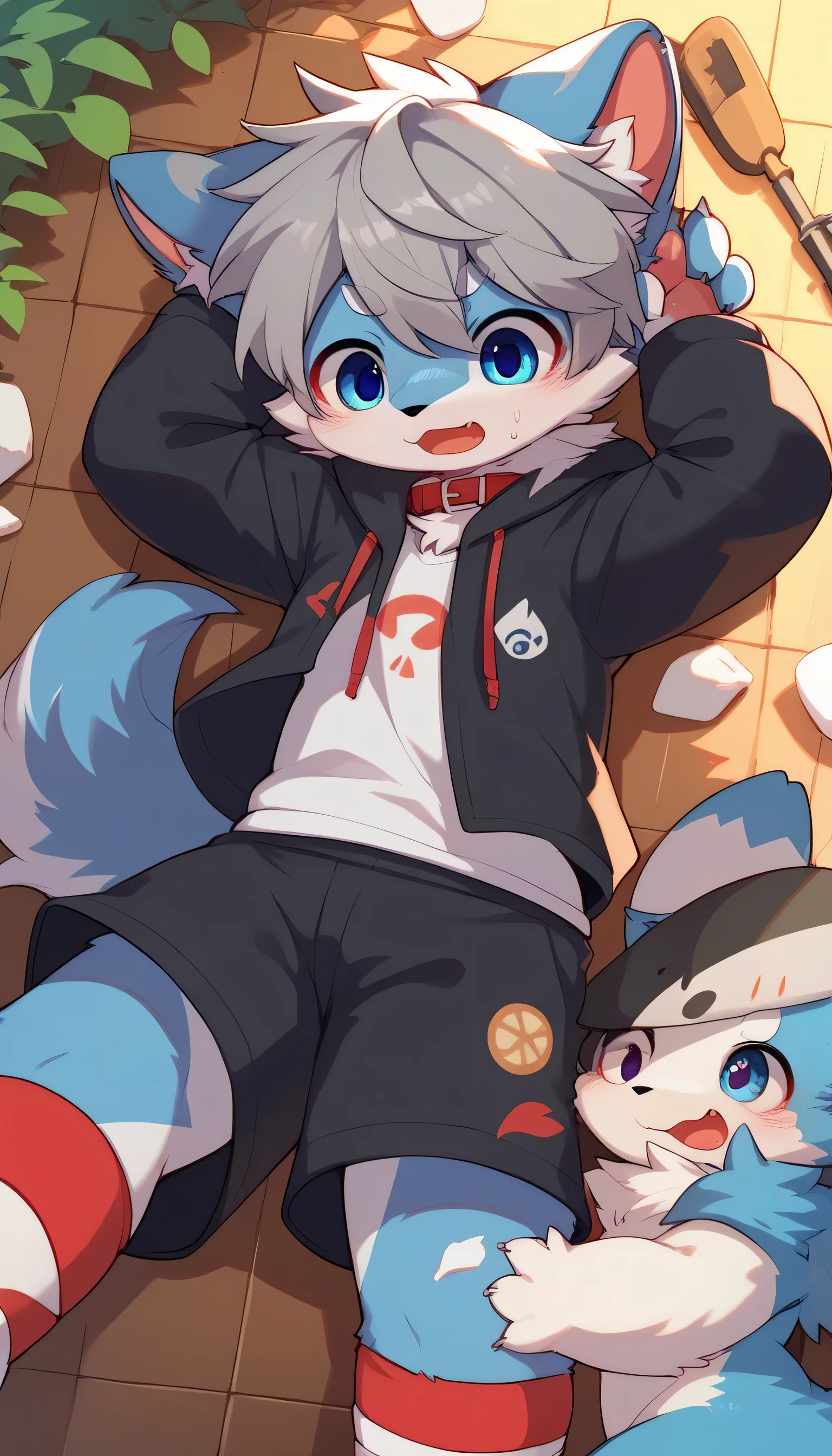dancing happily in detail , gray hair and gray fur , blue fur , The Blue Wolf , Shemono ,Age 15,Participation, red collar fell to the floor , cute face,Female fur, fluffy fur , 3 cute furry creatures dance !Horny boy ,Forest Background, embarrassed face, cute gray fur , estrus, droopy ears,There are lots of cute furry girls! , black shorts , sweatshirt , Long Sleeve ,tendency,