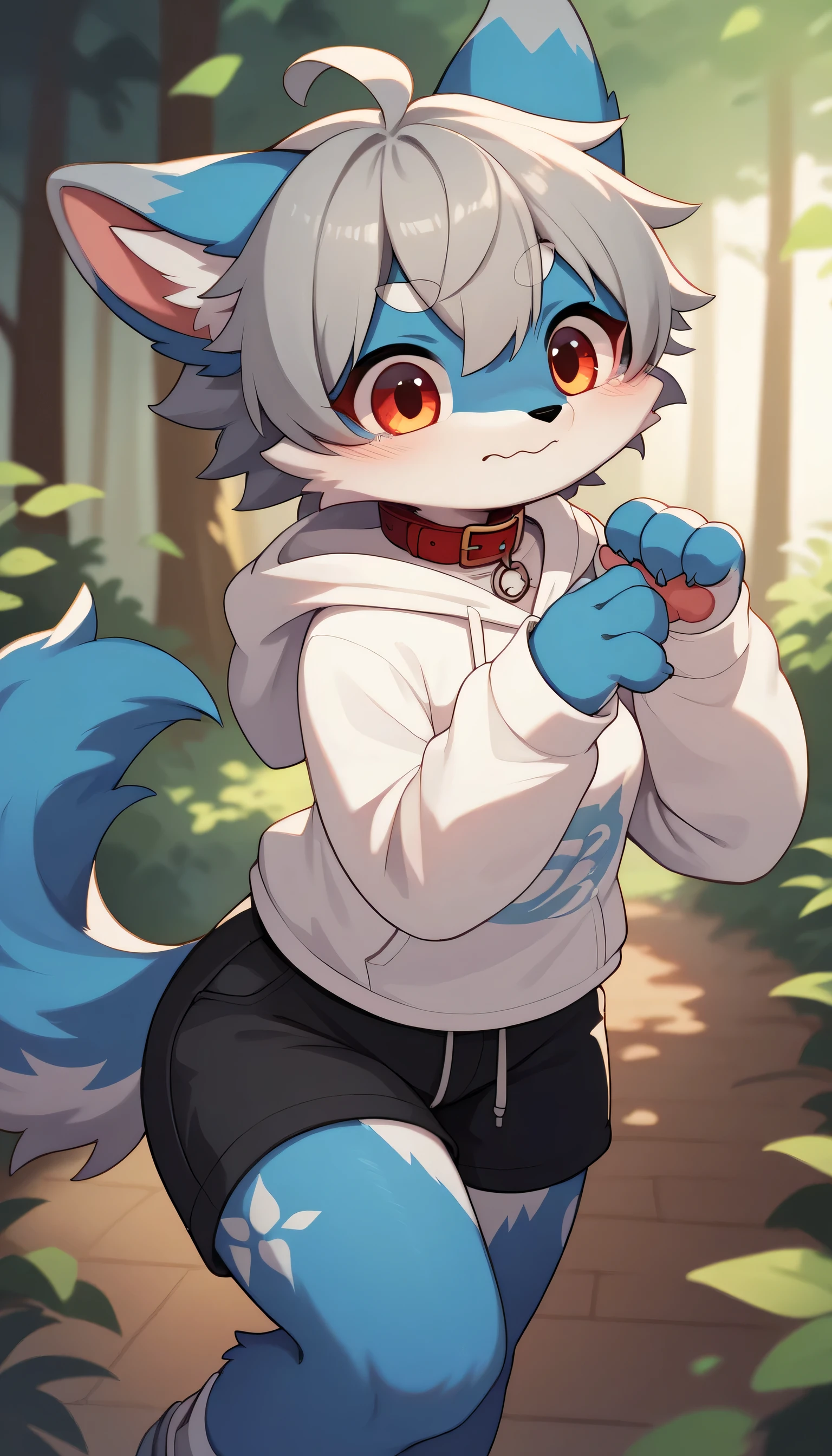    dancing happily in detail , gray hair and gray fur  ,   blue fur  , The Blue Wolf ,  Shemono  ,,Participation,  red collar fell to the floor ,   cute face,Female fur, fluffy fur  , 3 cute furry creatures dance  ！Horny boy ,Forest Background,   embarrassed face, cute gray fur  ,  estrus,  droopy ears,There are lots of cute furry girls！ ,  black shorts  ,   sweatshirt ,   Long Sleeve ,tendency,