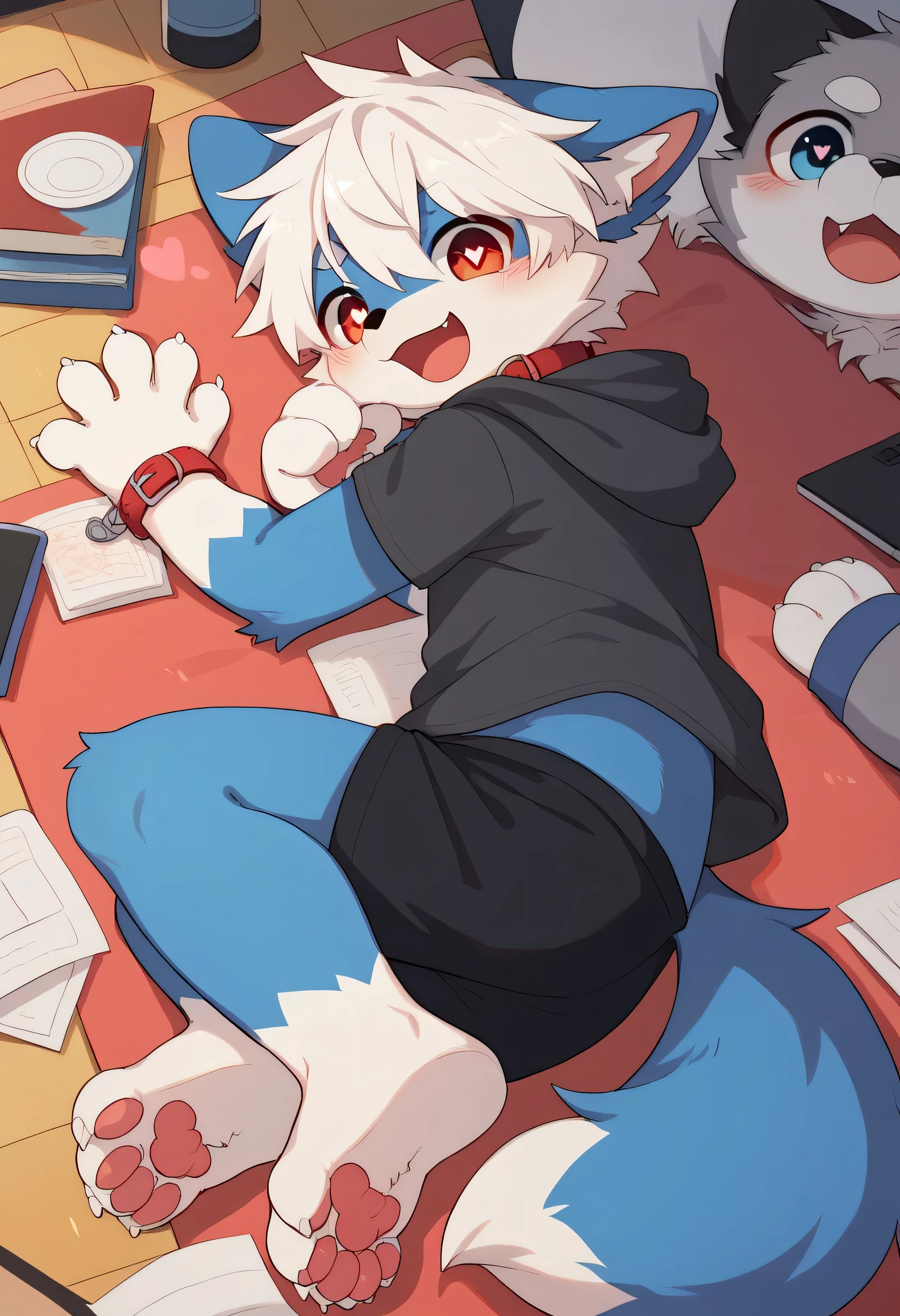 very well detailedな, very well detailed, gray fur white hair ,,male, excited to look at the bones , Wolf pelt, excited,Participation, cute face, Show me your legs ,Horny maleの子, red collar on the floor,Cute ears ,Fluffy ears ,Fluffy ears , show me your legs , show me paws , red collar on the floorと紐を持っている, red collar on the floorと紐を持っている, cute fur maleの子 , maleの子, heart eye ,Horny maleの子 , Black Back , white background, blush nose , alone, droopy ears, black shorts, Black Short Sleeve Hoodie