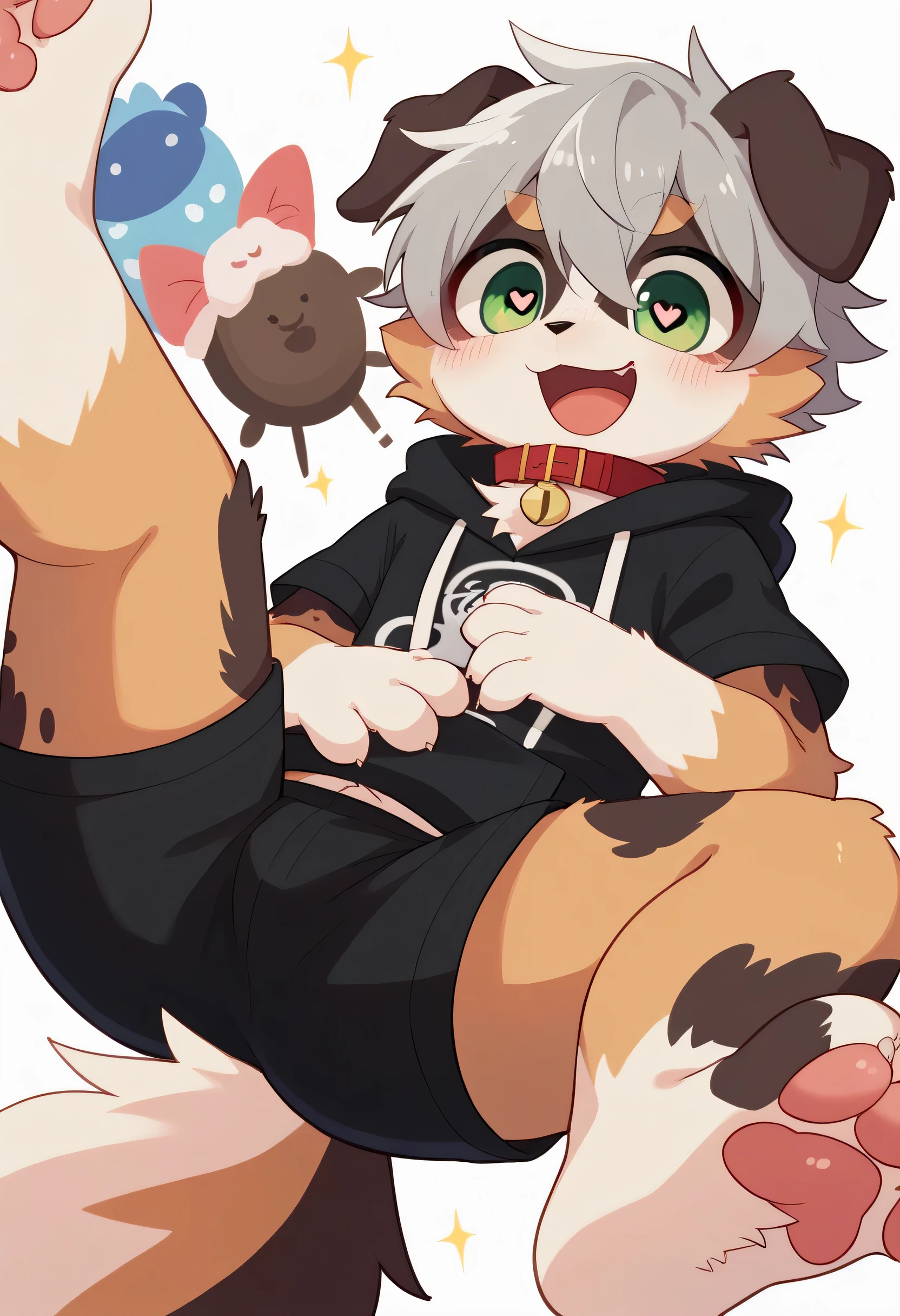 very well detailedな, very well detailed, Australian Shepherd Fur ,Age 15,Gray Hair,male, excited to look at the bones , Australian Shepherd Fur, excited,Participation, cute face, Show me your legs ,Horny maleの子, red collar on the floor,Cute ears ,Fluffy ears ,Fluffy ears , show me your legs , show me paws , 手に red collar on the floorと紐を持っている, cute fur maleの子 , maleの子, heart eye ,Horny maleの子 , Black Back , white background, blush nose , alone, droopy ears, black shorts, Black Short Sleeve Hoodie