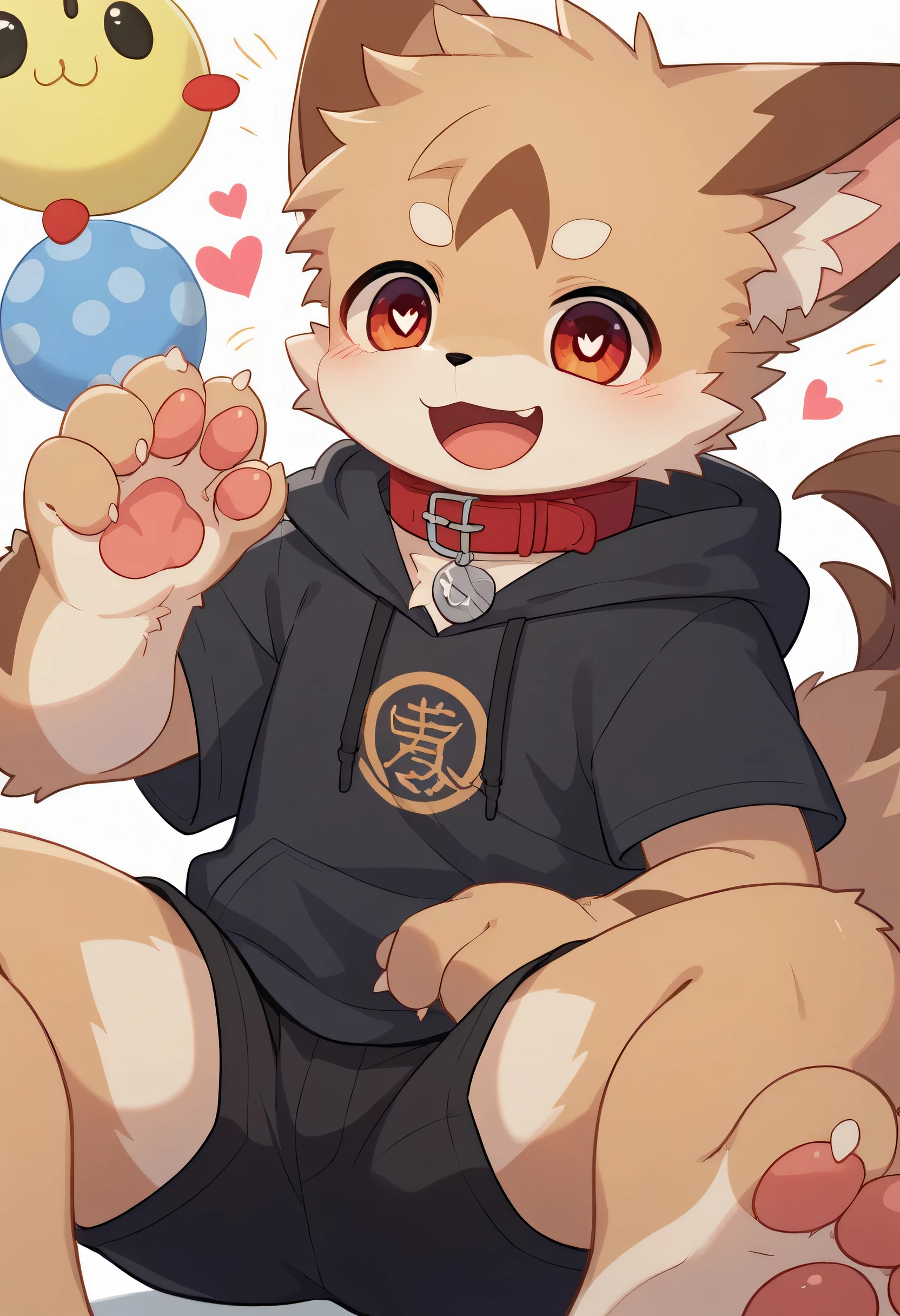   very well detailedな,  very well detailed,  歳の白い髪と brown fur ,Age 15,male,   excited to look at the bones , brown fur, excited,Participation,  cute face,  Show me your legs ,Horny maleの子, red collar on the floor,Cute ears ,Fluffy ears ,Fluffy ears , show me your legs , show me paws , 手に red collar on the floorと紐を持っている, cute fur maleの子 , maleの子,  heart eye ,Horny maleの子 , Black Back , white background, blush nose , alone, droopy ears,  black shorts,  Black Short Sleeve Hoodie  