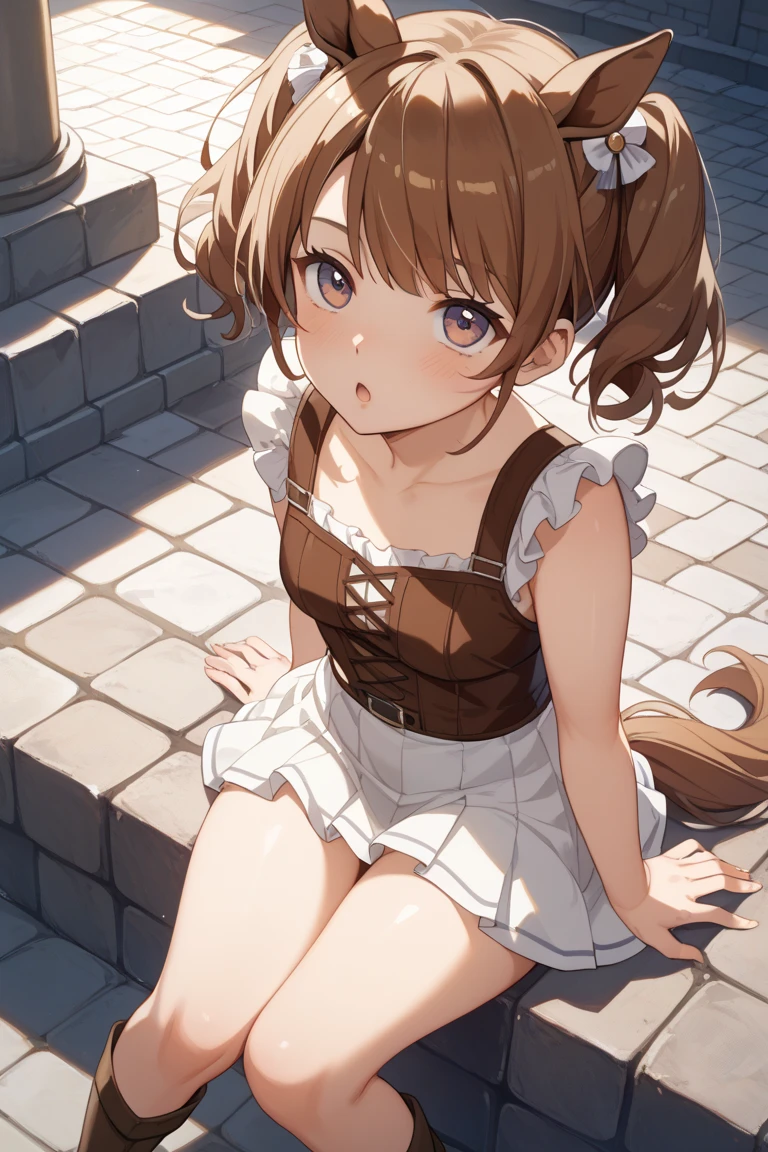 masterpiece, ultra high quality CG, best quality, perfect picture, solo, Duvalie (brown hair with braided buns, green eyes, bustier, cute, small breasts), (wearing a very sexy cat lingerie, cat ears), on all fours, walking on all fours, on a lawn, (((being pulled by a leash on neck)))), far angle shot, blushing, shy face