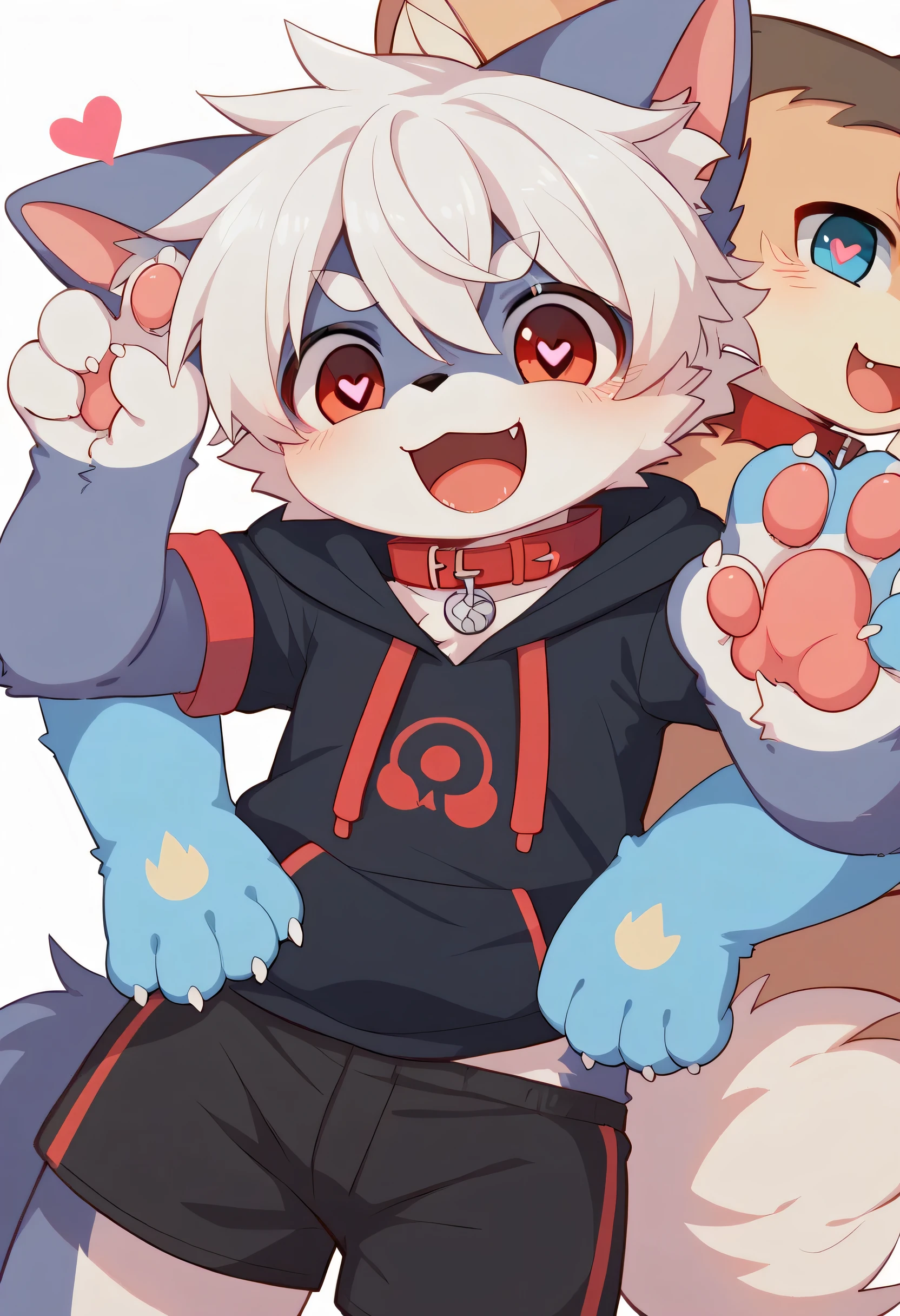 very well detailedな, very well detailed, gray fur white hair ,age 15,male, excited to look at the bones , wolf pelt, excited,Participation, cute face, Show me your legs ,Horny Male , red collar on the floor,Cute ears ,Fluffy ears ,Fluffy ears , show me your legs ,肉球を見せてくれるオオカミMale , show me paws , red collar on the floorと紐を持っている, red collar on the floorと紐を持っている, cute fur Male , Male , heart eye ,Horny Male , Black Back , white background, blush nose , alone, droopy ears, black shorts, Black Short Sleeve Hoodie