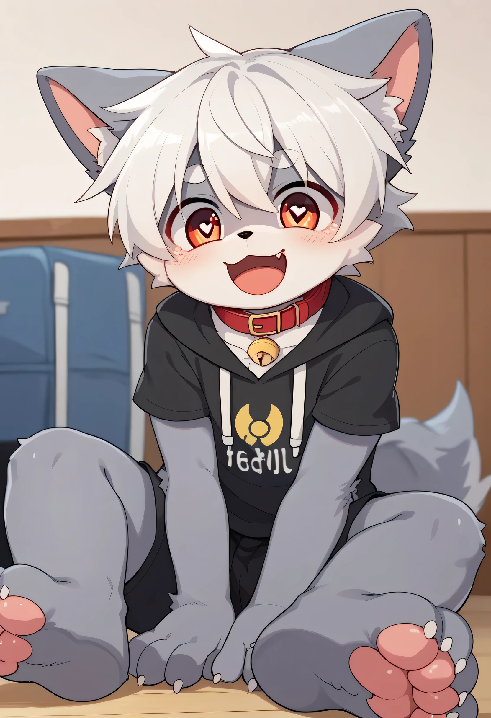 very well detailedな, very well detailed, gray fur white hair ,age 15,male, excited to look at the bones , wolf pelt, excited,Participation, cute face , Show me your legs ,Horny Male , red collar on the floor,Cute ears ,Fluffy ears ,Fluffy ears , show me your legs ,肉球を見せてくれるオオカミMale , show me paws , red collar on the floorと紐を持っている, red collar on the floorと紐を持っている, cute fur Male , Male , heart eye ,Horny Male , Black Back , white background, blush nose , alone, droopy ears, black shorts , Black Short Sleeve Hoodie