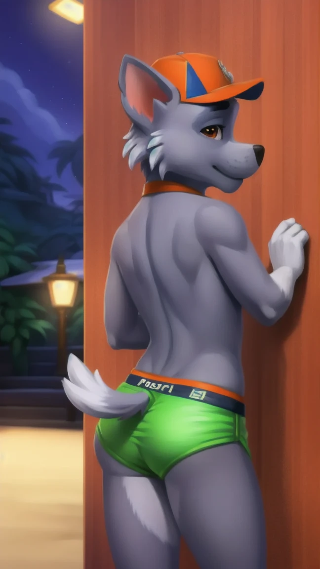anthro, (dalmatian), canine penis, knot, athletic body, ((duo)), bending over, having anal sex with male wolf, anal penetration, from behind, size difference, twink, slim build, nice butt, erection, black pupils, photorealism ,by zaush, by ruan jia, by jay naylor, by nuzzo, by disney, by pino daeni. bedroom setting, (4k), HD, quality, looking horny, black pupils, photorealism , tropical jungle hot springs setting, night time, (4k), HD, quality