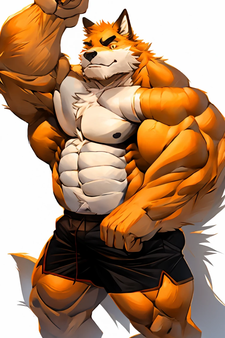 hairy，Wolf，Black-rimmed glasses，Shirtless，Lower body shorts，Forearm covered with bandages，Hands covered with bandages，no gloves，The calves are covered with bandages，Feet covered with bandages，beard，There are scars on the face，golden fur，male，Common，full-body shot， dynamic poses，boxing match，Muay Thai，Kicking action，Detailed background，极其lifelike阴影，masterpiece，Very detailed，lifelike