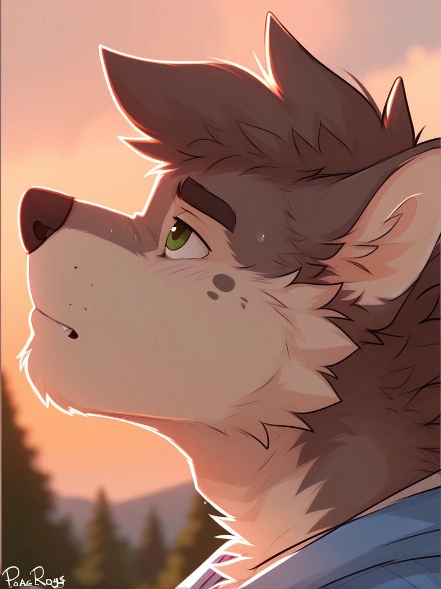 man, green eyes , , Looking up , lobo, profile picture, by Pache Riggs