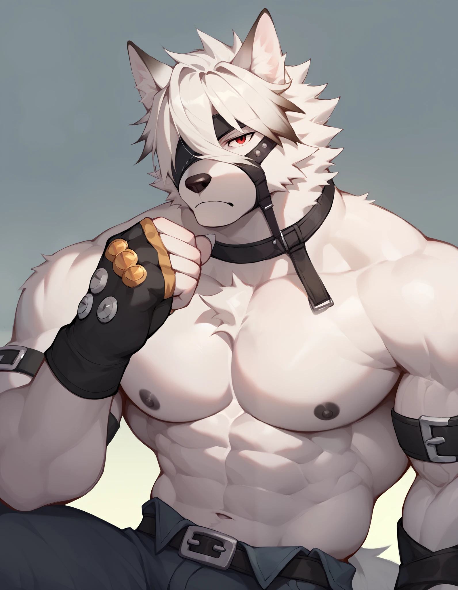 Score_9, Score_8_up, Score_7_up, alone, is from Wolfdog, Werewolf,white fur, muscular, red eyes, Button, Eye mask, One eye covered, pants, Wristband, The best band , bust portrait , Fingernails , fingerless gloves ,Thin,Lie down,Supine, muscular身体, to bare your upper body,black nipples,Chest muscles抚摸, Tail, Chest Focus,Chest muscles, male focus ,Exposed chest and abdomen,Japanese cartoons