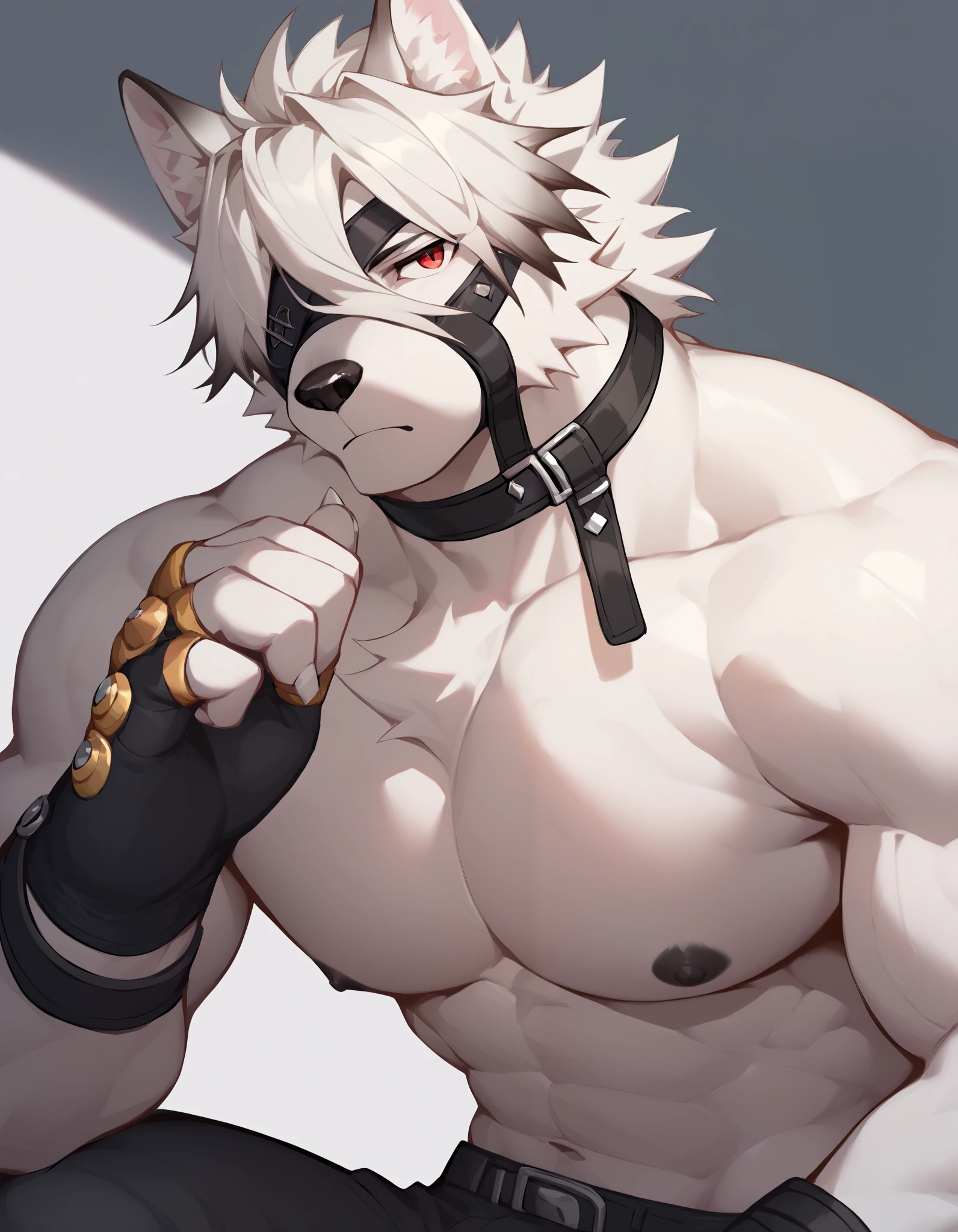 Score_9, Score_8_up, Score_7_up, alone, is from Wolfdog, Werewolf,white fur, muscular, red eyes, Button, Eye mask, One eye covered, pants, Wristband, The best band , bust portrait , Fingernails , fingerless gloves ,Thin,Lie down,Supine, muscular身体, to bare your upper body,black nipples,Hanging hands,Chest muscles抚摸, Tail, Chest Focus,Chest muscles, male focus ,Exposed chest and abdomen,Japanese cartoons