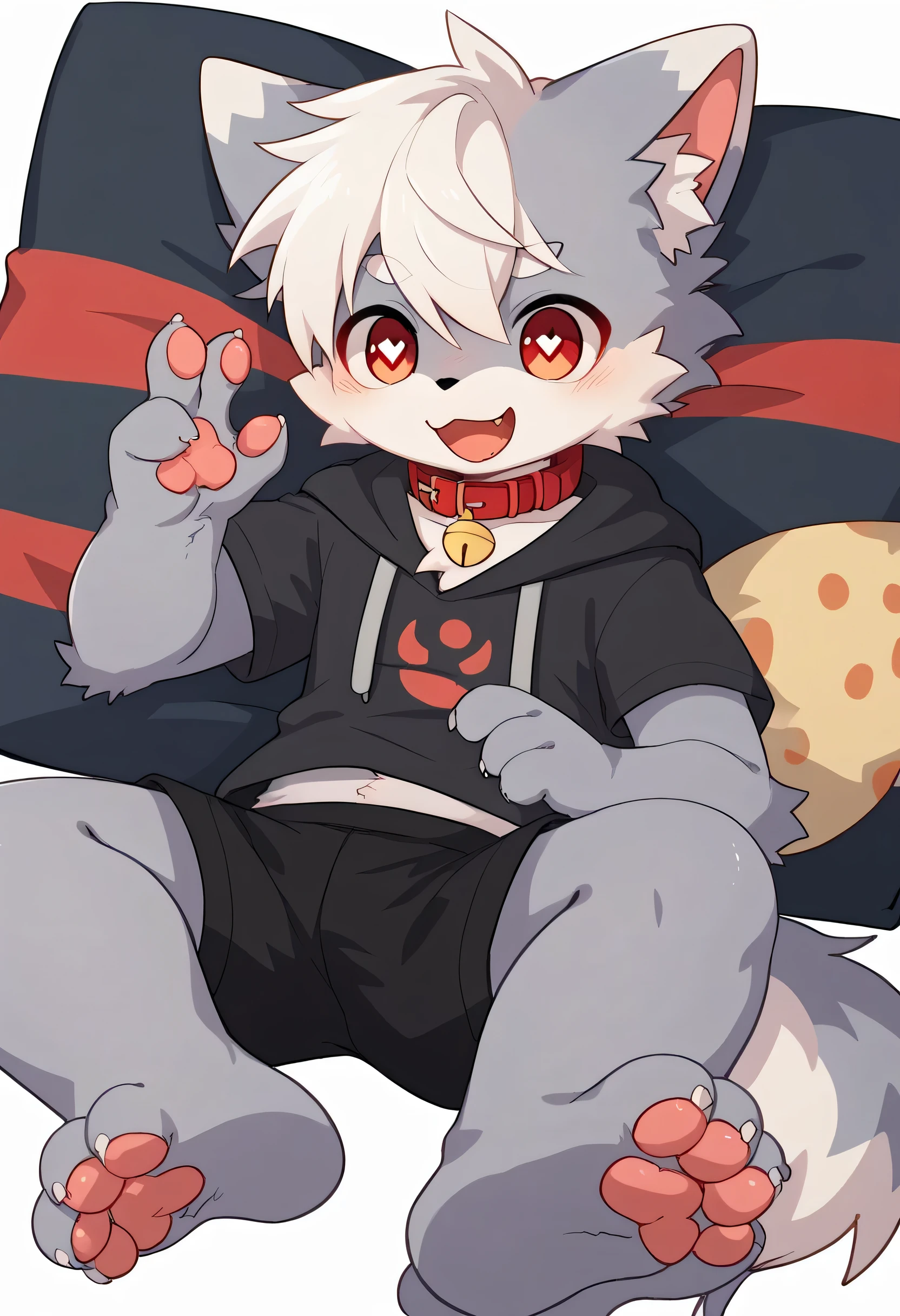 very detailed bustな, very detailed bust, white hair with gray coat ,Age 15,male, excited to see bones , wolf fur, excited,Participation, cute face , something furry ,Horny maleの子, red collar on the floor,Cute ears ,Fluffy ears ,Fluffy ears , Show me your legs , Show me a cat's hand , red collar on the floorと紐を持っている, red collar on the floorと紐を持っている, cute fur maleの子 , maleの子, heart eye ,Horny maleの子 , Black Back , white background, blush nose , alone, droopy ears, black shorts , Black Short Sleeve Hoodie