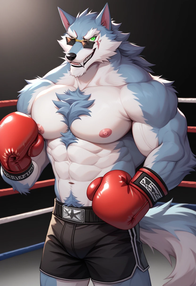 Furry, anthropomorphic wolf, light gray fur, yellow eyes, 6'5 and 208 lbs, 45" Chest, 20" shoulders, 15" Biceps, 34" waist, 24" thighs, 16" calves, 19" Back, wearing indigo colored boxing shorts with white and ultramarine stripes, in boxing ring, inside stadium, sweaty, slightly bruised, panting, getting frotted, getting nipples played with