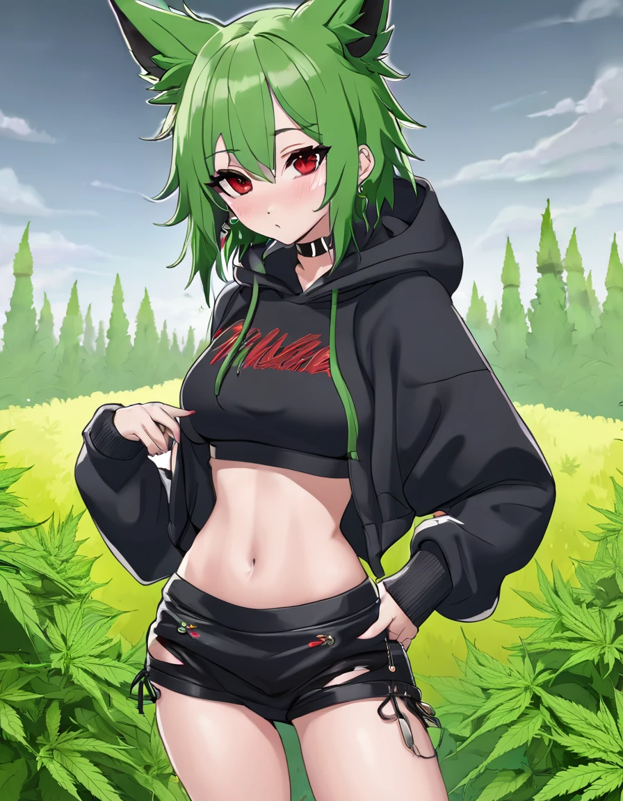 Croped, cleavage, slim waist, cropped hoodie underboob, cropped hoodieunderboobhoodie, 1girl, 2 wolf ears, wolf tail, marijuana crop hoodie, crop shorts, marijuana hoodie, spiky hair, spiky fur, green hair, red eyes,marijuana field, tight clothes, perfect eyes, perfect hands, clear resolution, full body, cleavage skin, marijuana plants, open hoodie, marijuana field, black thigh high socks, full body, earrings, 1girl, skirt, cleavage, slim waist, cleavage, slim waist, hair pulled back, big breast, round butt, slim waist, best quality, thick thighs, 4k quality, night time, full moon