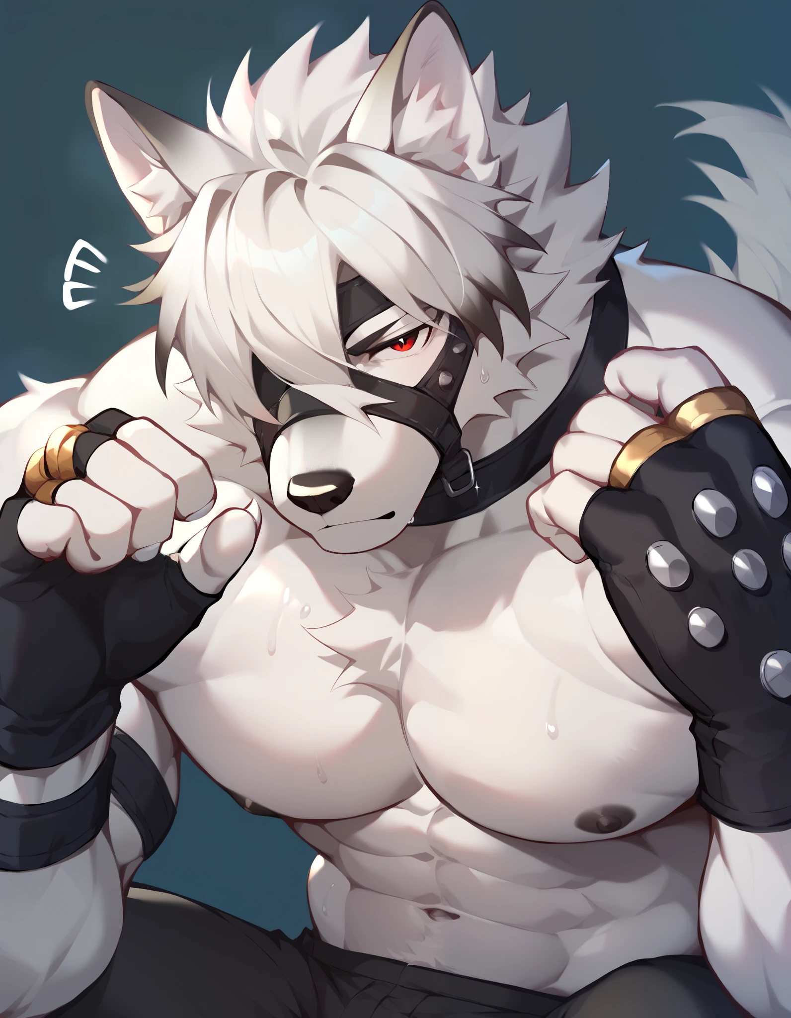 Score_9, Score_8_up, Score_7_up, alone, is from Wolfdog, Werewolf,white fur, Muscular, red eyes,, Eye mask, One eye covered, pants, Wristband, The best band , bust portrait ,gym background,Sweat, Fingernails ,Wolf Paw, fingerless gloves ,Thin,Lie down,Supine,Muscular身体, to bare your upper body,black nipples,Hanging hands,一只手摸自己的Chest muscles, one hand on his head , Tail, Chest Focus,Chest muscles, male focus ,Exposed chest and abdomen,Japanese Anime