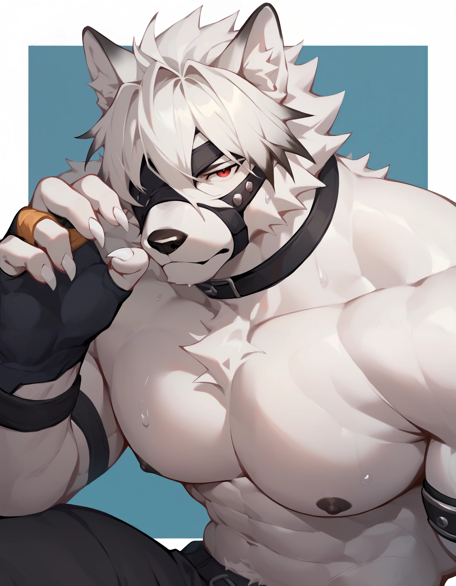Score_9, Score_8_up, Score_7_up, alone, is from Wolfdog, Werewolf,white fur, Muscular, red eyes,, Eye mask, One eye covered, pants, Wristband, The best band , bust portrait ,gym background,Sweat, Fingernails ,Wolf Paw, fingerless gloves ,Thin,Lie down,Supine,Muscular身体, to bare your upper body,black nipples,Hanging hands,Separated hands, caresses the chest, Tail, Chest Focus,Chest muscles, male focus ,Exposed chest and abdomen,Japanese Anime