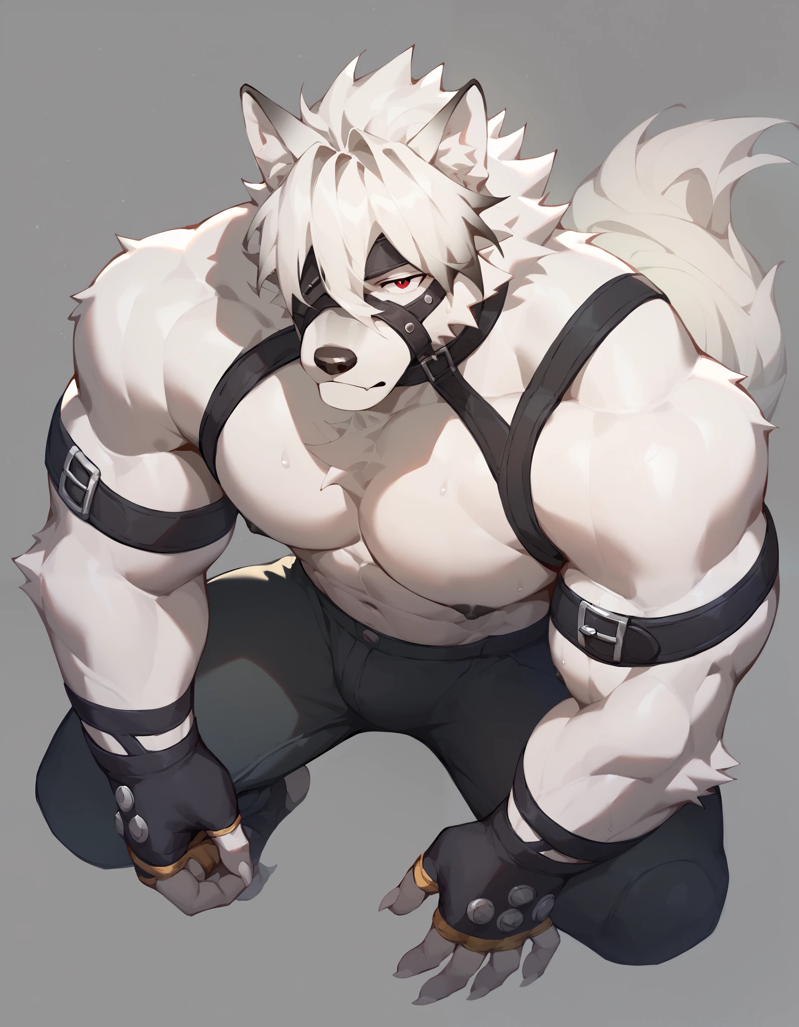 Score_9, Score_8_up, Score_7_up, alone, is from Wolfdog, Werewolf,white fur, Muscular, red eyes,, Eye mask, One eye covered, pants, Wristband, The best band , Full Body Portrait,gym background,Sweat, Fingernails ,Wolf Paw, fingerless gloves ,Thin,Lie down,Supine,Muscular身体, to bare your upper body,black nipples,Hanging hands,Separated hands, caresses the chest, Tail, Chest Focus,Chest muscles, male focus ,Exposed chest and abdomen,Japanese Anime, thick thighs