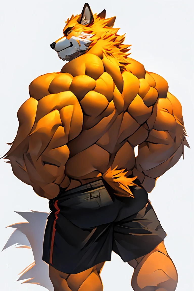 Furry, anthropomorphic wolf, light yellow fur, yellow-green eyes, 6'3 and 196 lbs, 42" Back, 19" shoulders, 14" Biceps, 33" waist, 23" thighs, 15" calves, 18" Back, wearing pale yellow tank top, wearing golden boxing gloves, wearing golden orange athletic shorts, wearing yellow athletic shoes