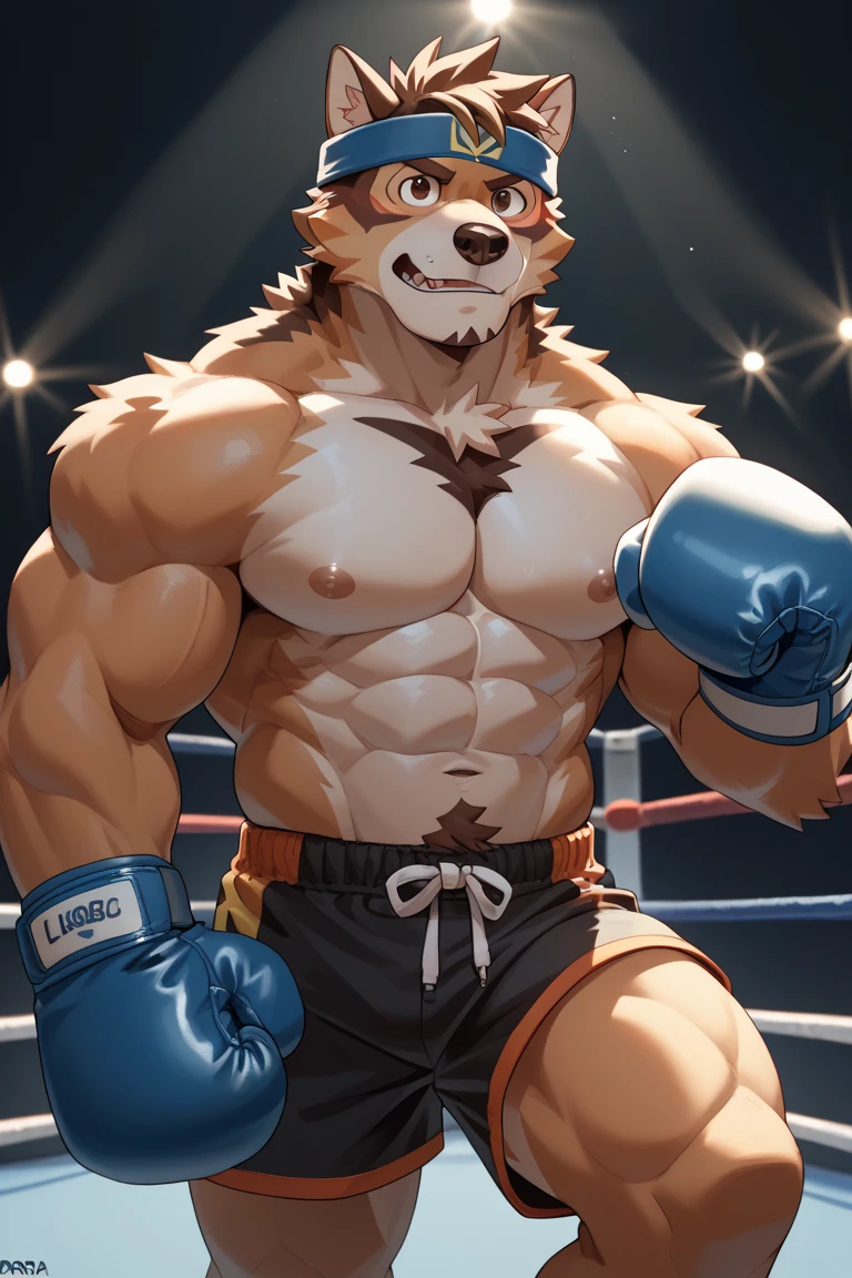 masterpiece,best quality,detailed background,hi res, by null-ghost,by milkytiger1145,by takemoto arashi, inside,fighting ring, solo,solo focus,male,male focus,anthro,bear,(athletic), (brown fur,brown body,black eyebrows:1.3),looking at viewer, detailed eyes,yellow eyes,humanoid hands, (purple boxing speedo, glove gauntlets), (boxing dynamic pose)