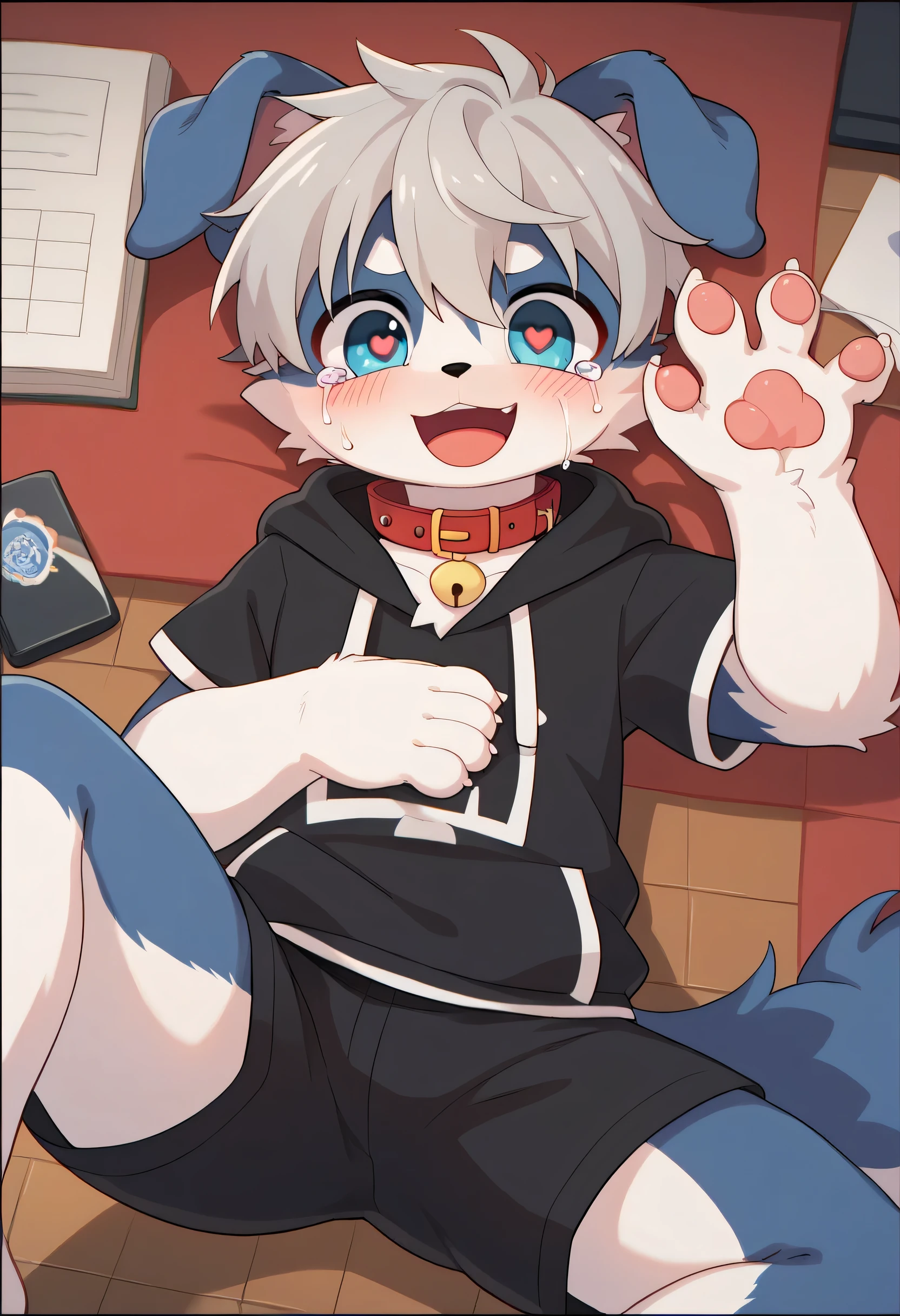 very well detailedな, very well detailed, border collie fur ,,Gray Hair,male, excited to look at the bones ,border collie fur , excited,Participation, I'll cry 顔,Black nose ,I'll cry , while crying,I'm going to cry a lot ,Cry a lot,tears,nose,Show me your legs ,Horny Male , red collar on the floor,Cute ears ,Fluffy ears ,Fluffy ears , show me your legs , show me paws , 手に red collar on the floorと紐を持っている, cute fur Male , Male , heart eye ,Horny Male , Black Back , white background, blush nose , alone, droopy ears, Black Shorts, Black Short Sleeve Hoodie