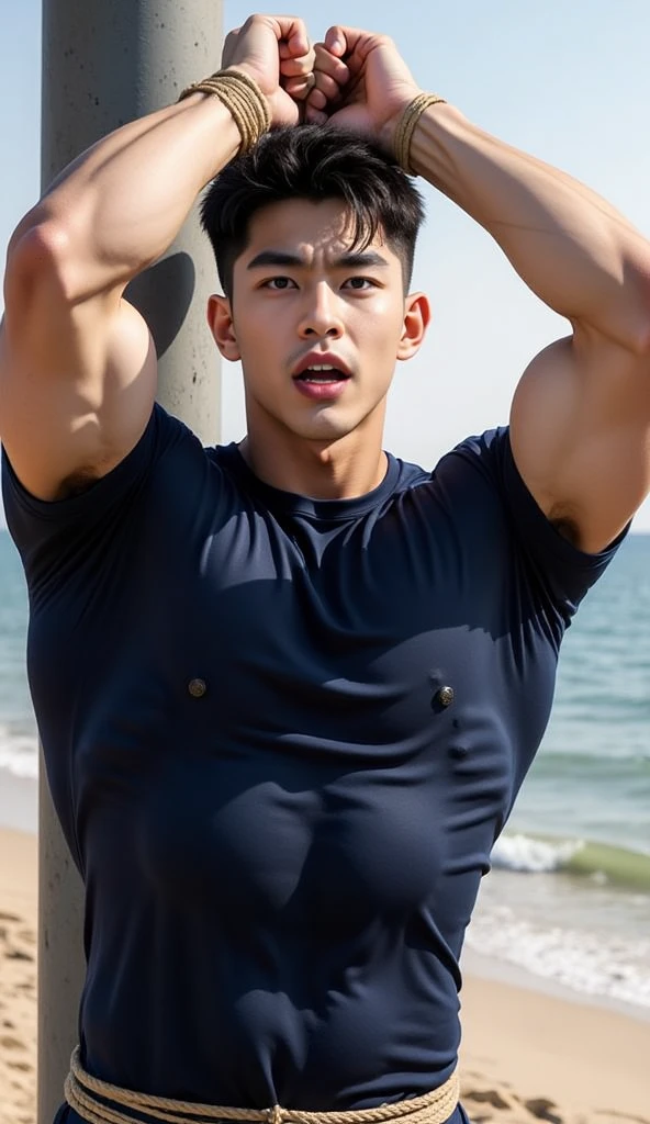 (NSFW: 1.2),(CGI art:1.3),(realistic:1.5),(After processing:1.3), (Sharp focus:1.3), 1 man, open mouth, smile, (Navy blue round neck shirt), shorts, Korean people , korean men, (high glossy details), chest muscles, large arm muscles, blood vessel, big muscles, Broad shoulders, looking at the audience, Balancing the eyes, By the sea, beach, sunlight, run towards the camera ,(genital very long big ),(Erection of the penis),