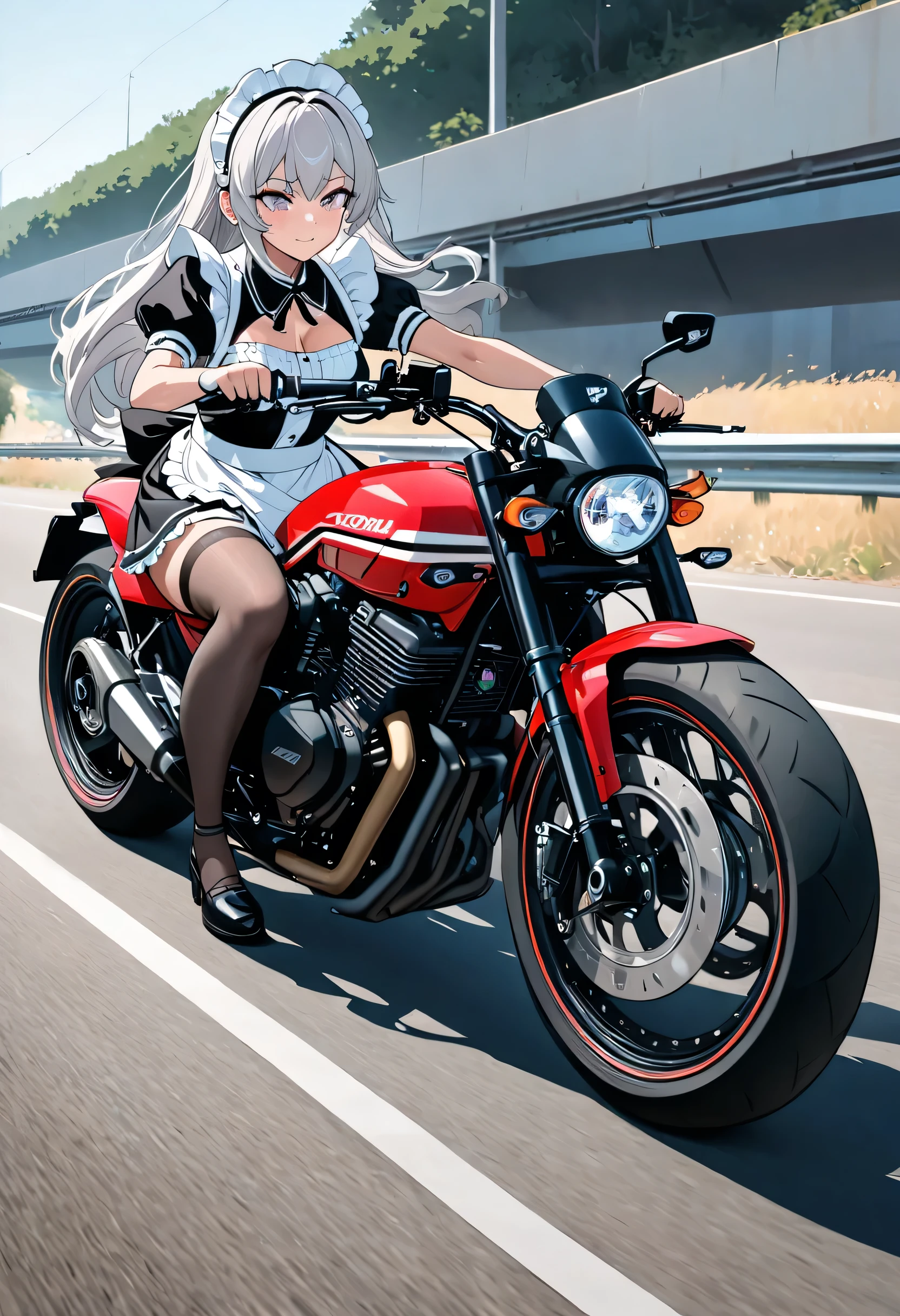 (((Best quality, 8k, Masterpiece: 1.3)), ((best quality)), ((masterpiece)), (detailed), perfect face, A maid girl with long silver hair, Her thick hair flows, A maid costume with frills. , high resolution, Textured skin, anime style, A maid riding a motorcycle, a maid driving a motorcycle, A motorcycle racer leaning her body to take a corner, Knee-high stockings, Honda, CB1300, Drive on the highway