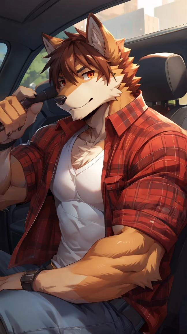 boxer