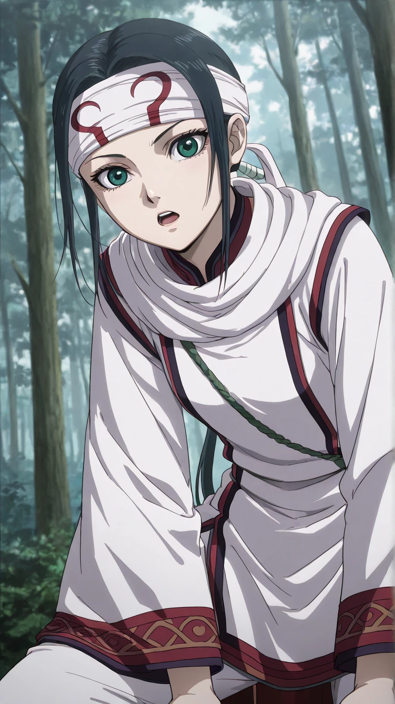 kyoukai, qiang_lei ,
High quality , best quality , masterpiece, High Resolution , detailed face( LoRA: kyoukai),anatomically correct, detailed hair Style( LoRA: kyoukai),anime Coloring
solo, 1 girl,tomboy
black hair, green eyes, long hair, low ponytail
headband, white chinese clothes ,long sleeve,white pants
looking at viewer , close-up,,
, Forest
,open mouth,