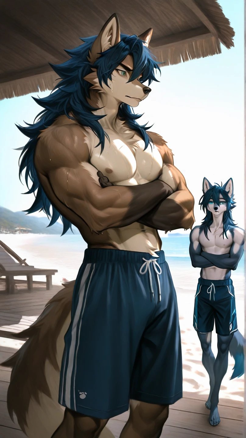 Border collie, Anthro, Furry, Wearing Blue Underwear, Skinny, behind him Beach And Night, his really tall, Macro Size, his 50ft Tall