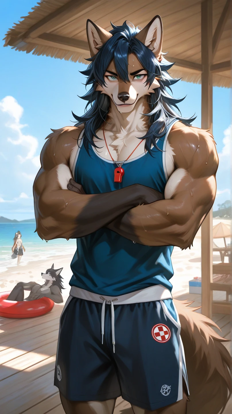 male furry dog with dog penis, full body, standing on a deserted beach