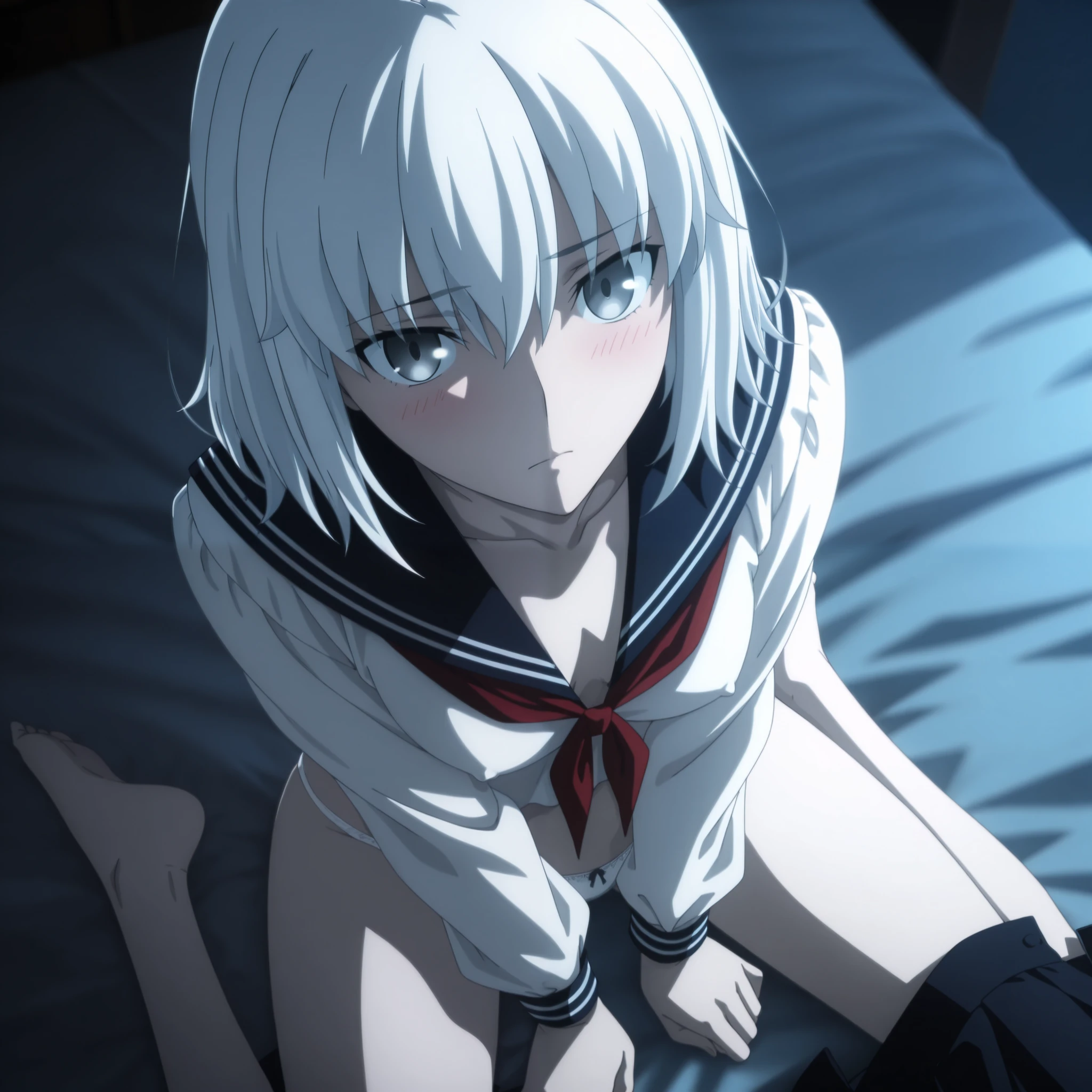 masterpiece, best quality, amazing quality, highres, absurdres, very aesthetic, high resolution, ultra detailed, perfect details, midnight, upper body, , indoors, ufotable style, (from above), blue hour,
1girl, ufotable style, anime style, (anime coloring:1.5), (anime screencap:1.2) ,(aged up),
girl, mature, slim body, slender body, ,Fate Grand Order, fate, Fate Grand Order, medium hair, gray eyes, white hair, pale skin, (straight hair), wariza, sitting, on bed, (v arms, hand between legs,),
(show off nipple), undress open sailor , dark blue sailor pull , long sleeve pull, white satin panties, (undress black skirt pull), small breast, (looking at viewer), expressionless, (embarrassed),