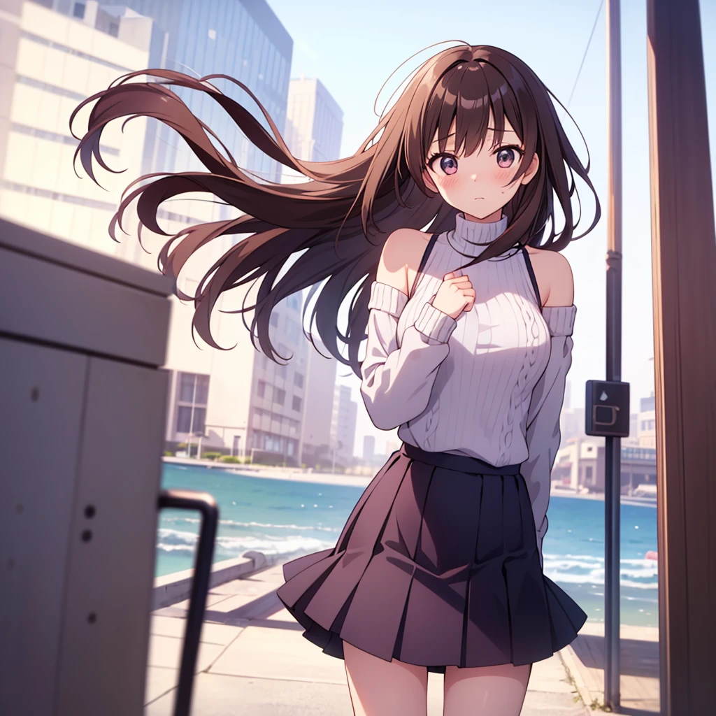 jumper skirt