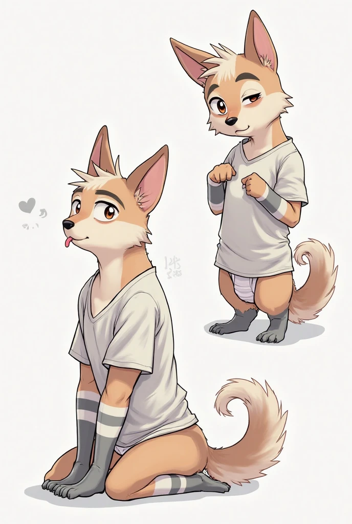 ((SFW)) ((Cute, furry, Australian Shepherd dog boy femboy wearing a white sleeveless leotard with a bulge, and light gray thigh-high socks, best quality, grabbing bulge))