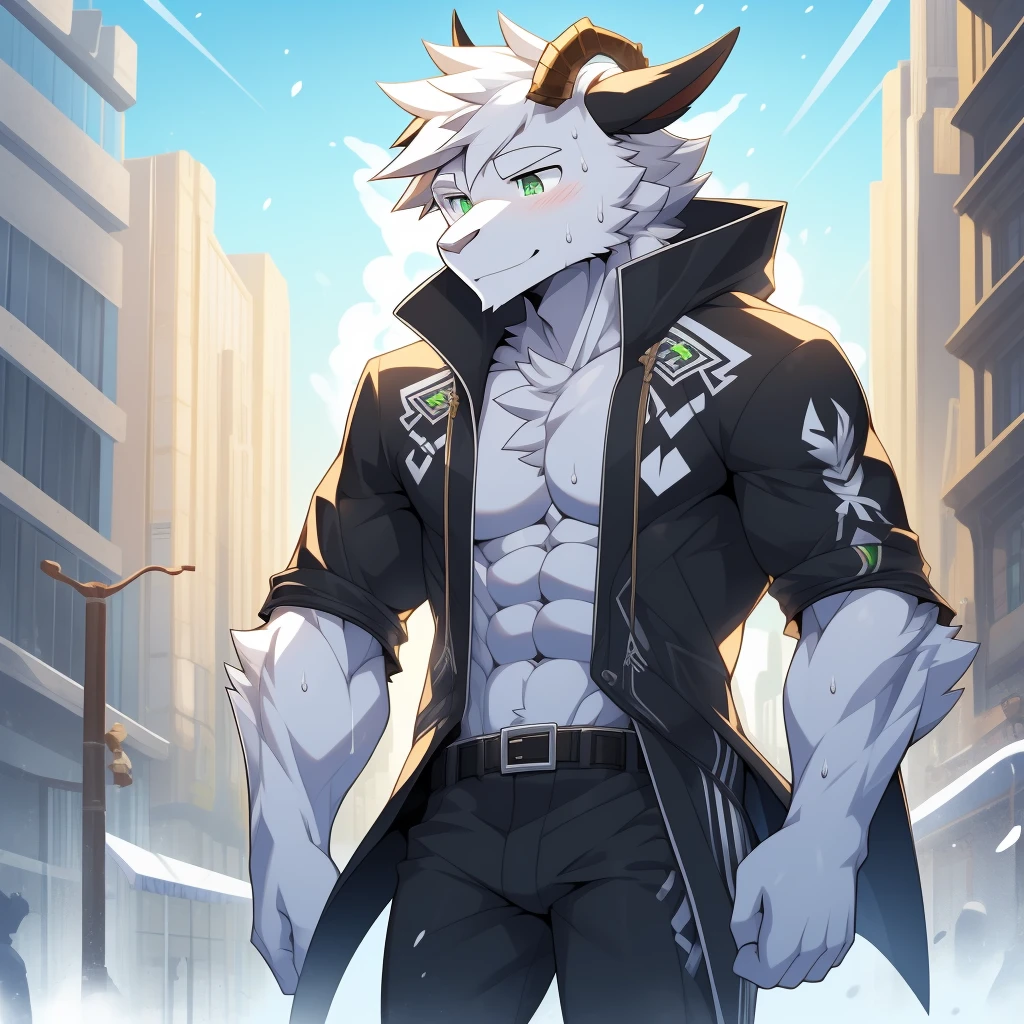 solo person,shaggy male,hairy bodies,shoun,coyote,canid,Gray fur,long white hair,The ends of the hair are purple,Purple eye,Bullied,adolable,Handsome,large tail,full bodyesbian,street dancing