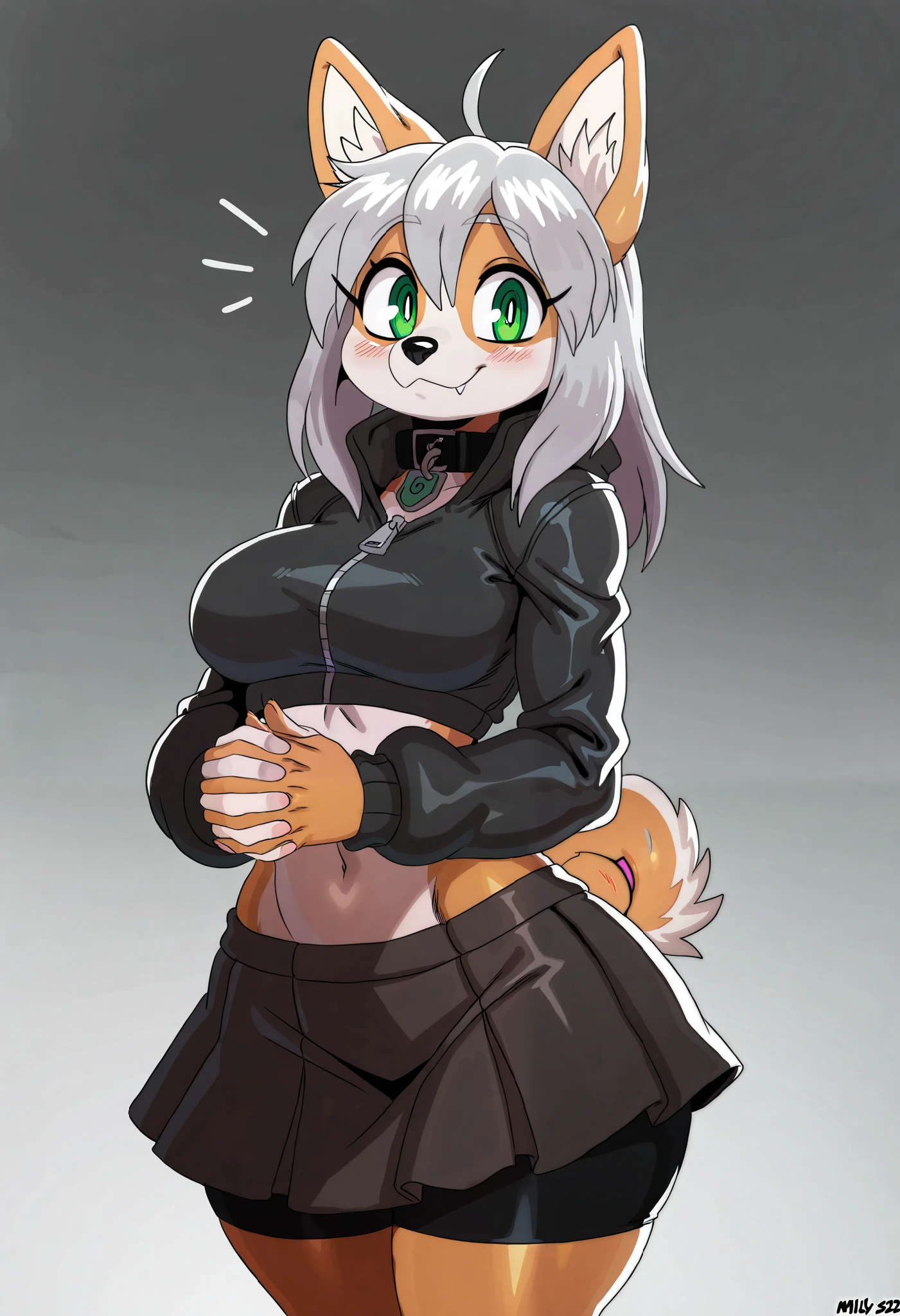 solo, masterpiece, best quality, amazing quality, very aesthetic, high resolution, ultra-detailed, absurdres, newest, (solo, adult, 2d, absurdres, best quality, uploaded on e621), by sssonic2, (waist portrait:1.2), (solo), (female), (anthro welsh corgi), (brown body), straight hair, medium hair, silver hair, [shy], (friendly/happy, green eyes, expressive eyes, closed smile), (visible cute fangs), (wearing a royal black jacket, wearing a fancy harem top underneath jacket, wearing a dark skirt over fancy long black bike shorts), (beautiful, adorable, cute short corgi tail), (collar with green gem), silver thin eyebrows, simple plain background, medium breasts, [outfit can be mildly suggestive:0.4], (hands clasped by waist), mild midriff, mildly wide hips