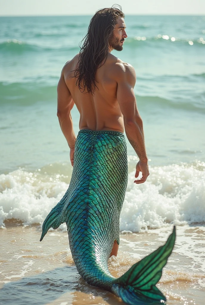 Maverick is sitting on a rock on the seashore, with its imposing figure standing out against the marine environment. Her long mermaid fin, Inspired by the tail of a betta fish, unfolds around it in an elegant curve, resting on the rock and stretching out into the water. The fin is a vibrant turquoise color that shimmers with iridescent shades of green and blue., and its frayed edges reflect flashes of silver and gold in the sunlight.
His muscular and well-defined torso is slightly leaning forward., with his strong arms resting on his thighs. Maverick's wavy red hair falls freely around his face, framing his marked features and his incipient beard that highlights his jaw. His green eyes, Intense and penetrating, They look confidently towards the horizon, while his thick eyebrows accentuate his gaze.
Her fair skin is covered with freckles, especially on her cheekbones and nose, adding a youthful touch to his rugged appearance. His sculpted chest, covered in red hair, exposed to the sun, while her shell and pearl bracelets shine on her wrists, symbolizing its deep connection with the ocean.
Maverick stands in a relaxed yet powerful stance, with its long, majestic fin gracefully extending around it. Your presence, a mix of strength and beauty, creates an image of a mythical creature that belongs to both land and sea, Captivating anyone who sees it.