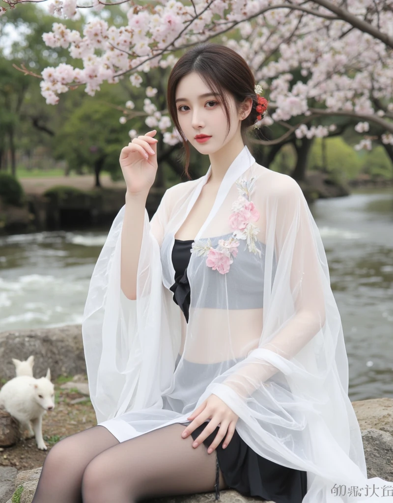 F.1正义仙子