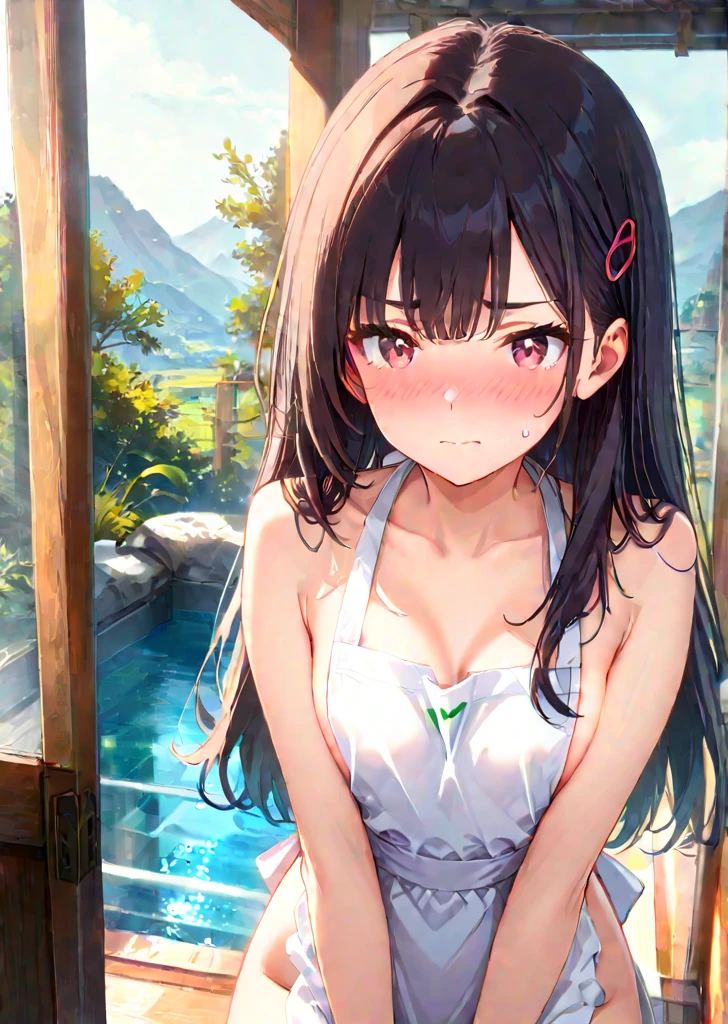 A 20-year-old woman with long black hair, wearing a simple summer dress, performing the traditional Japanese activity of uchimizu (sprinkling water) in front of a traditional Japanese house. The woman has a D-cup bust. The background includes a wooden house, a garden, and a veranda. The atmosphere is calm and refreshing, capturing the essence of a cool summer day.