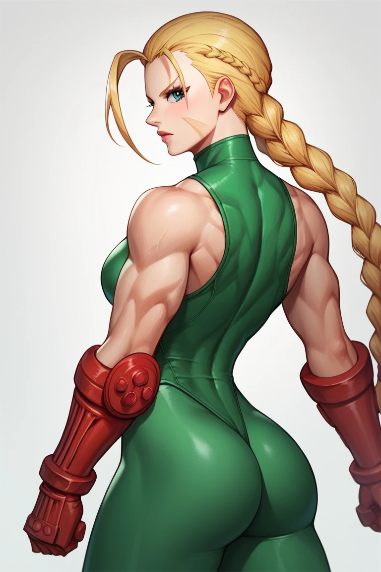 score_9, score_8_up, score_7_up, BREAK, score_9,cammySDXL, 1girl, solo, long hair, breasts, looking at viewer, blue eyes, blonde hair, gloves, hat, standing pose, two braids, twin braids, fingerless gloves, leotard, lips,  beret, highleg, scar, red headwear, scar on face, highleg leotard, red gloves, camouflage, harness, thong leotard, green leotard, chest harness, medium full shot, thicks, small ass, from behind, wall, brick