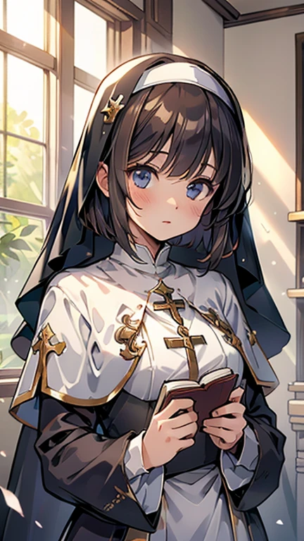 masterpiece,complex details,insanely detailed,pastel colors,fantasy,1girl,black hair,bangs,closed eyes,silence,pray,(holy:1.5),veil,circlet,rosary,kneeling,stained glass,night,from above,depth of field,(blurry:1.2)