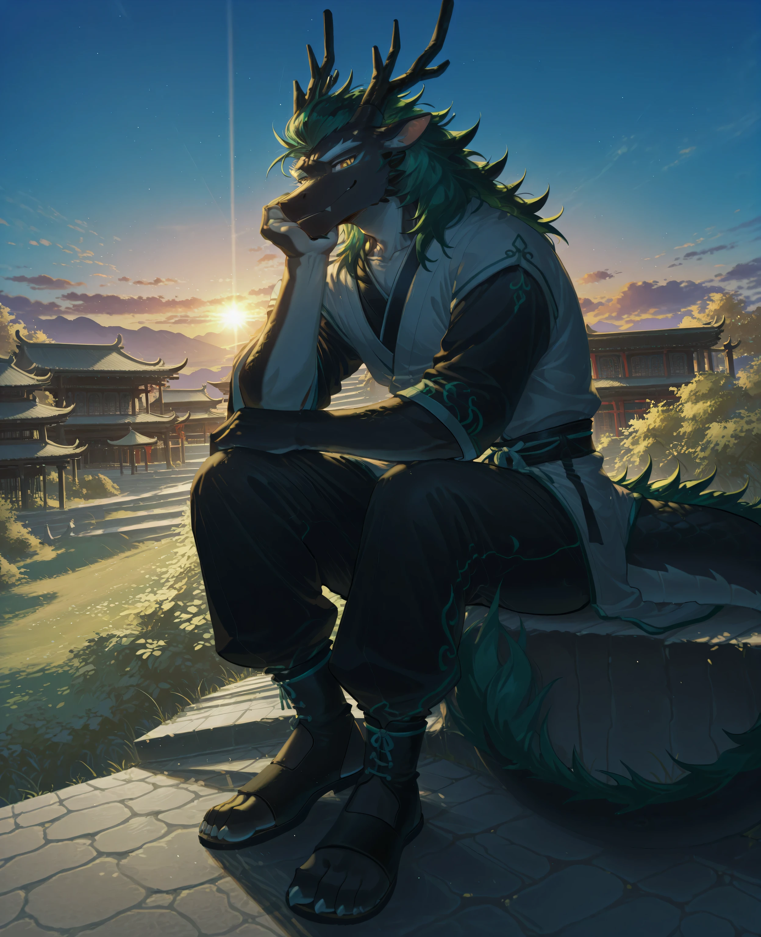 sfw,1boy,solo,male focus,furry male,furry,anthro,(slender muscle:0.2),(eastern dragon),(black scales:1.5,two-tone body,mane),dragon horn,black antler:0.7,(deep_green hair,short hair,ombre hair),white eyebrow,(detailed eyes,amber eyes,detailed pupils),snout,animal ears,dragon ears,dragon tail,(skinny:0.3,),(outside,in suzhou garden,buildings,ancient garden,blue sky),absurdres,sitting on steps ,cool pose,(Chinese costume,wuxia uniform,black and white Hanfu,pants,toeless_footwear,),(peaceful face,smile),absolute_territory,cowboy_shot,from_side,looking_at_viewer,sunset glow,break,masterpiece,highres,amazing quality,best quality,newest,break,((lindong:0.8),(by null-ghost:0.8),huashijw,(asteroid_ill:0.8),(smile \(qd4nsvik\):0.9),(wolftapioca:0.3),(chunie:0.5),cg,highres)),sfw