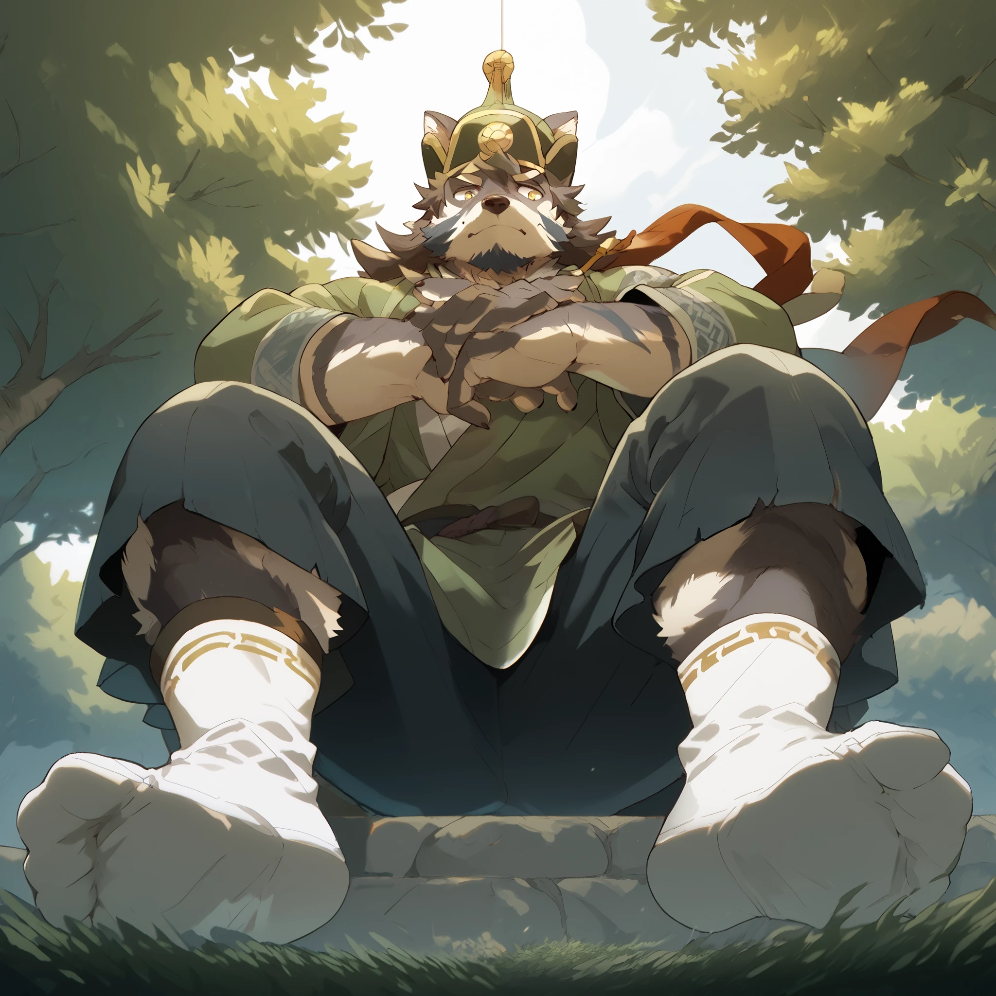 Score_9, Score_8_up, Score_7_up, Score_6_up, Furry,a boy, mature ,Tetsuki Makoto , 's only, full body,helmet, Mongolian costume , sitting,(from below:1.2),soles of feet,White socks,front,legs that fell apart spread apart