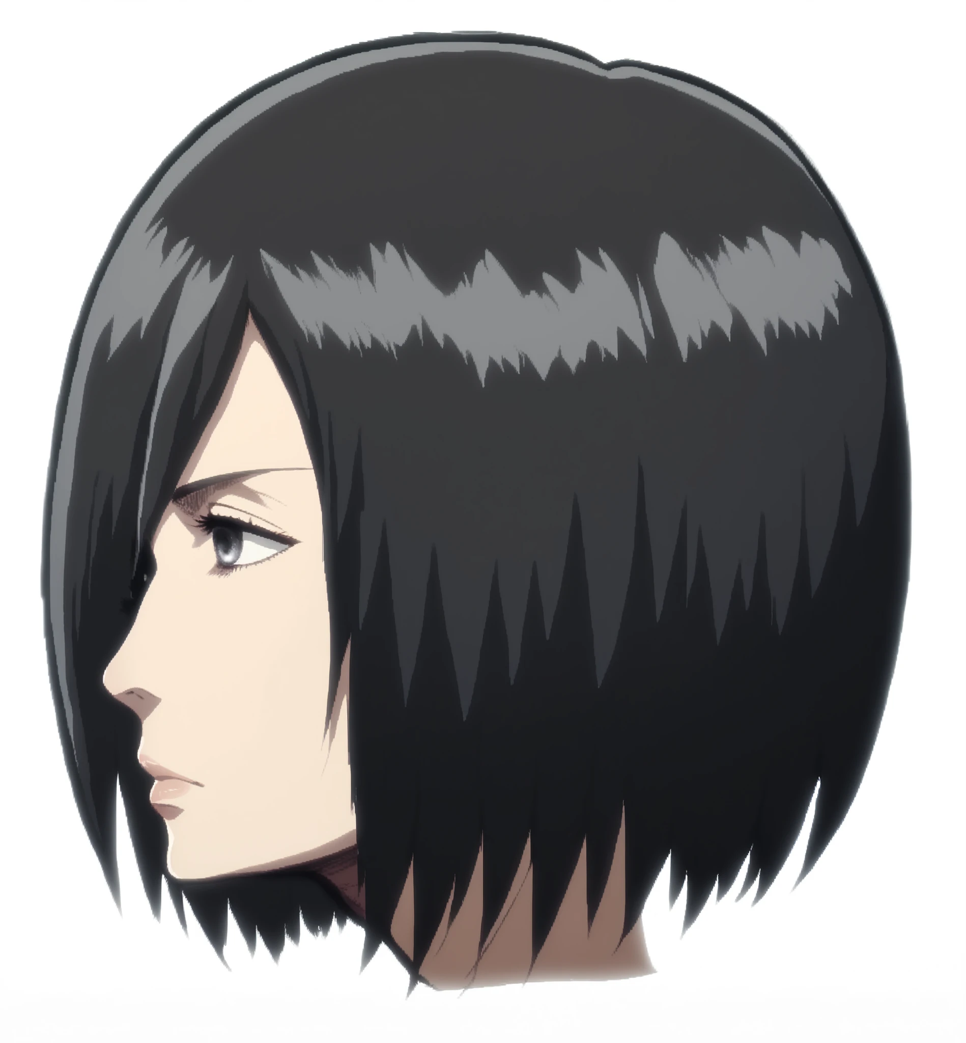 (((mikasa ackerman))), head, side view, detailed hair, dark gray eye, nose, nostril, mouth, mikasa ackerman mouth, neck, high quality, neutral expression, relaxed face, (detailed body), ((Attack on Titan style)),