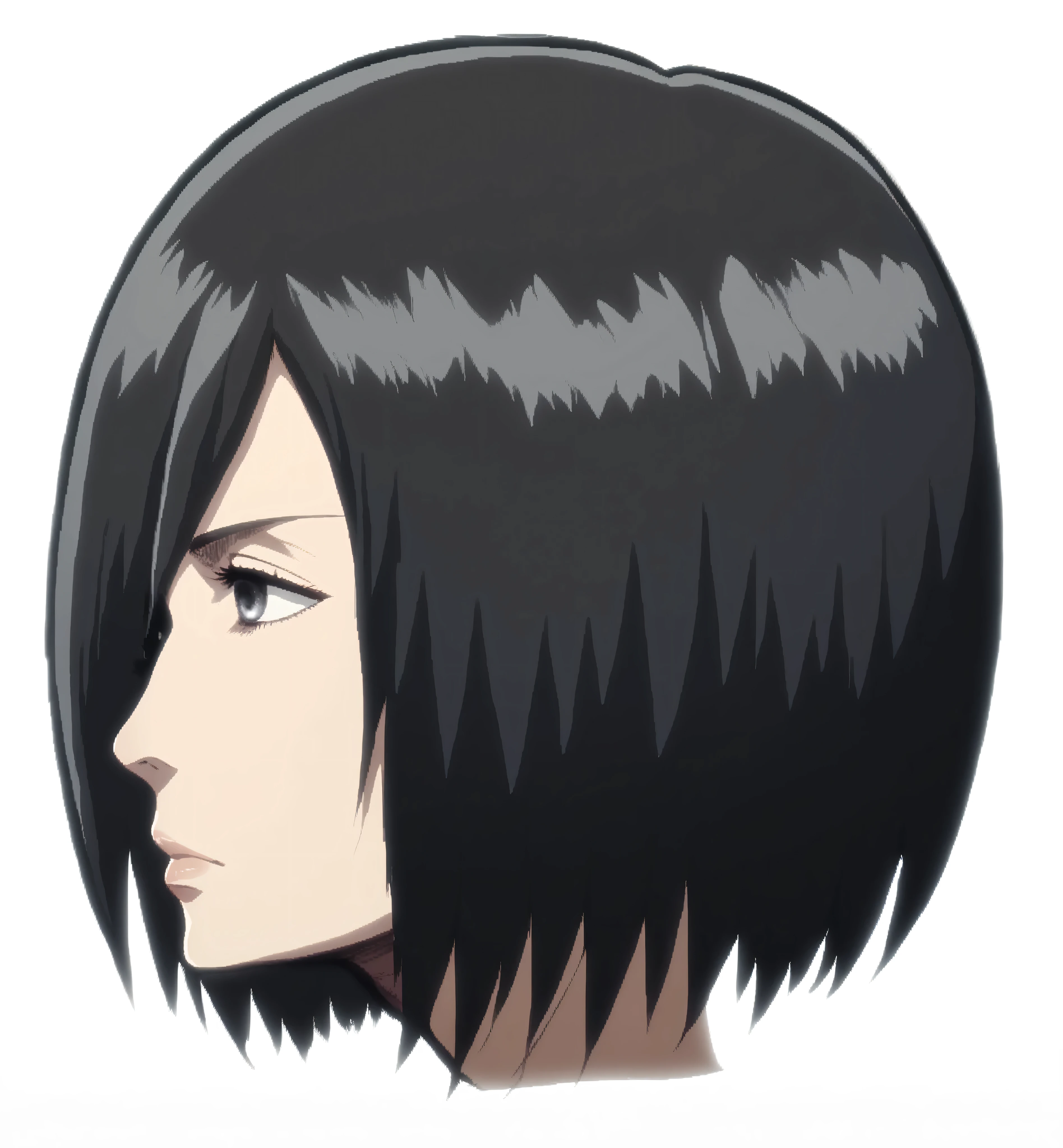 (((mikasa ackerman))), head, side view, detailed hair, dark gray eye, nose, nostril, mouth, mikasa ackerman mouth, neck, high quality, neutral expression, relaxed face, (detailed body), ((Attack on Titan style)),