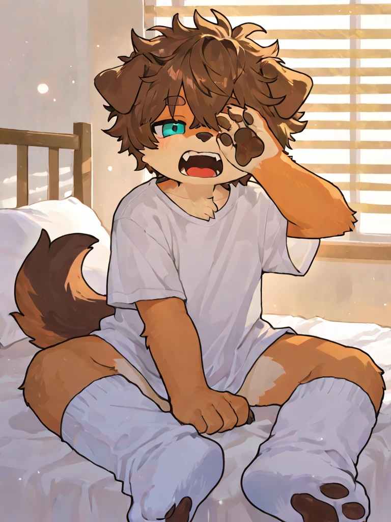 masterpiece,high quality,abstract res,number\(artwork\), From dagasi, Yes,Seizan,(Flower Charcoalo,Fluffy fur,character focus:1.1),Flower Charcoalo male cat,short hair,portrait , Bright eyes, panoramic, character focus.(Detailed background:0.7), 独奏, hairy, hairy male, Male focus, Masterpiece of time,high quality,abstract res,number\(artwork\), From dagasi, Yes,Seizan,(Flower Charcoalo,Fluffy fur,character focus:1.1),Human male fox,Bright eyes, panoramic, character focus.(Detailed background:0.6), 独奏, hairy, hairy male, Male focus, Flower Charcoal,(whole bodyhairy, Hairy tail)fur,A five-year-old boy,cute,Hip bulge,Toddleery red pupils,A tail with a white tip,The ends of the limbs are white,Cute meat pads,Claw,cute boys,The ear tips are orange,Big hairy ears,Hairy big tail,whole body,Reasonable composition,Brown cloth bag,In the bedroom,Children's nightwear,White loincloth,Slightly reddened,Dress coolly,Golden short hair,White lingerie,Pale yellow hair,Lying on the bed,Sleepy,Cross your legs towards the camera,Spread your legs,Creamy white shorts,Creamy white short-sleeved pajamas。