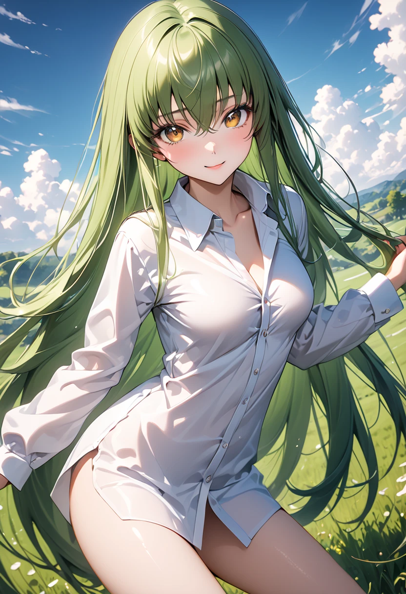 masterpiece, best quality, very aesthetic, absurdres, newest,1girl,naked_shirt, pussy_hair, ,c.c(code_geass), 1girl, crossed_bangs, eyes_visible_through_hair, green_hair, medium_breasts, straight_hair, very_long_hair, yellow_eyes,,,in a castle