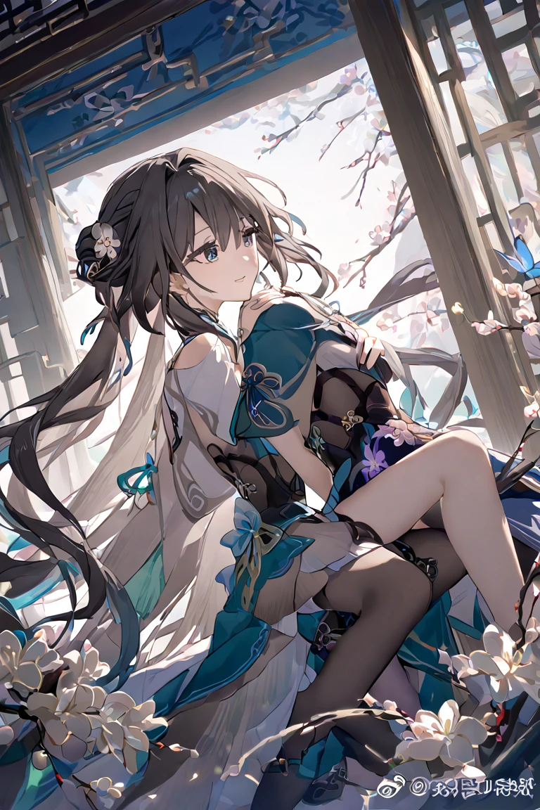 Ruan mei from honkai star rail